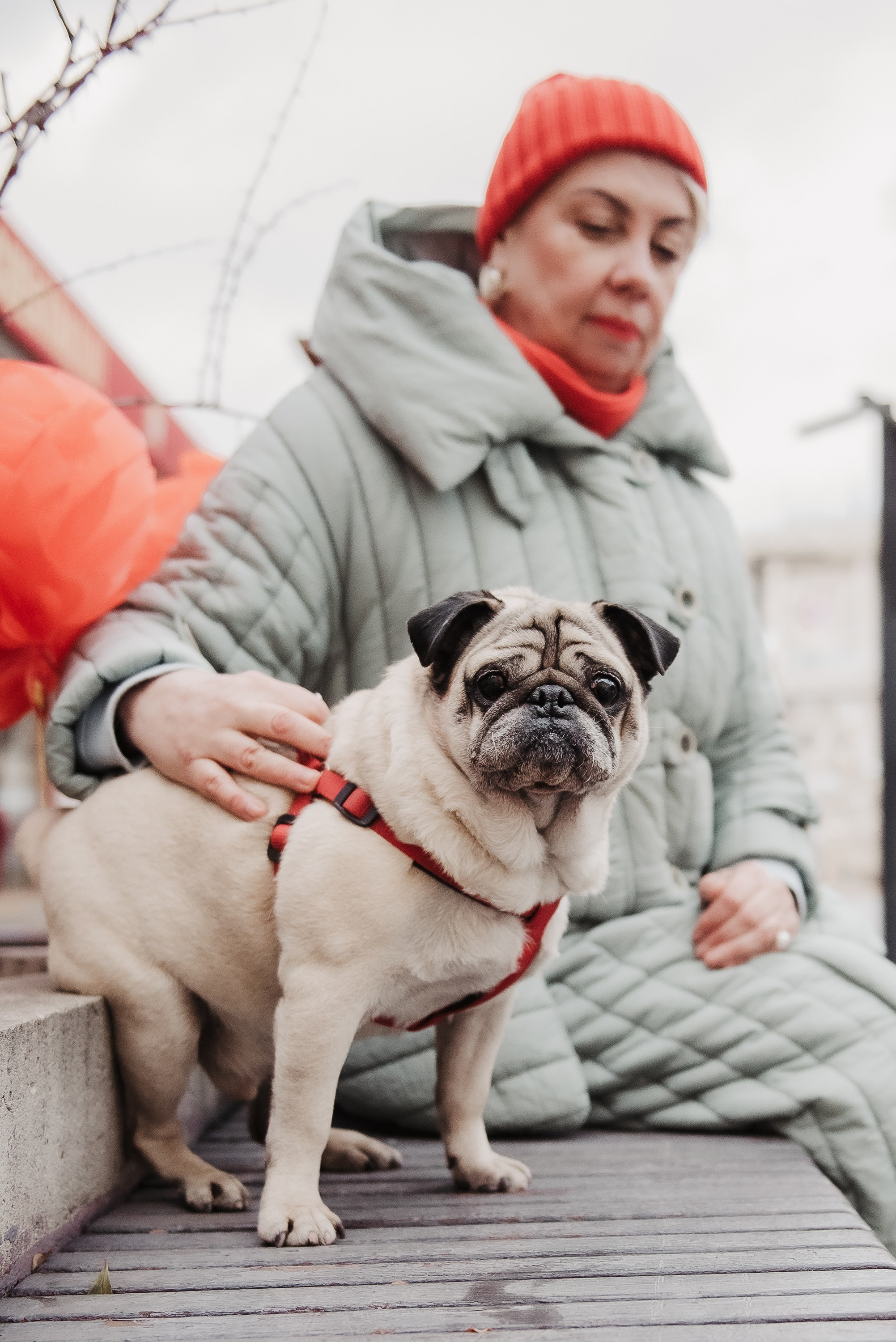 Ольга и Потапум. Прогулка к чайному дому. Семейный Фотограф в Москве Ирина Хохлова