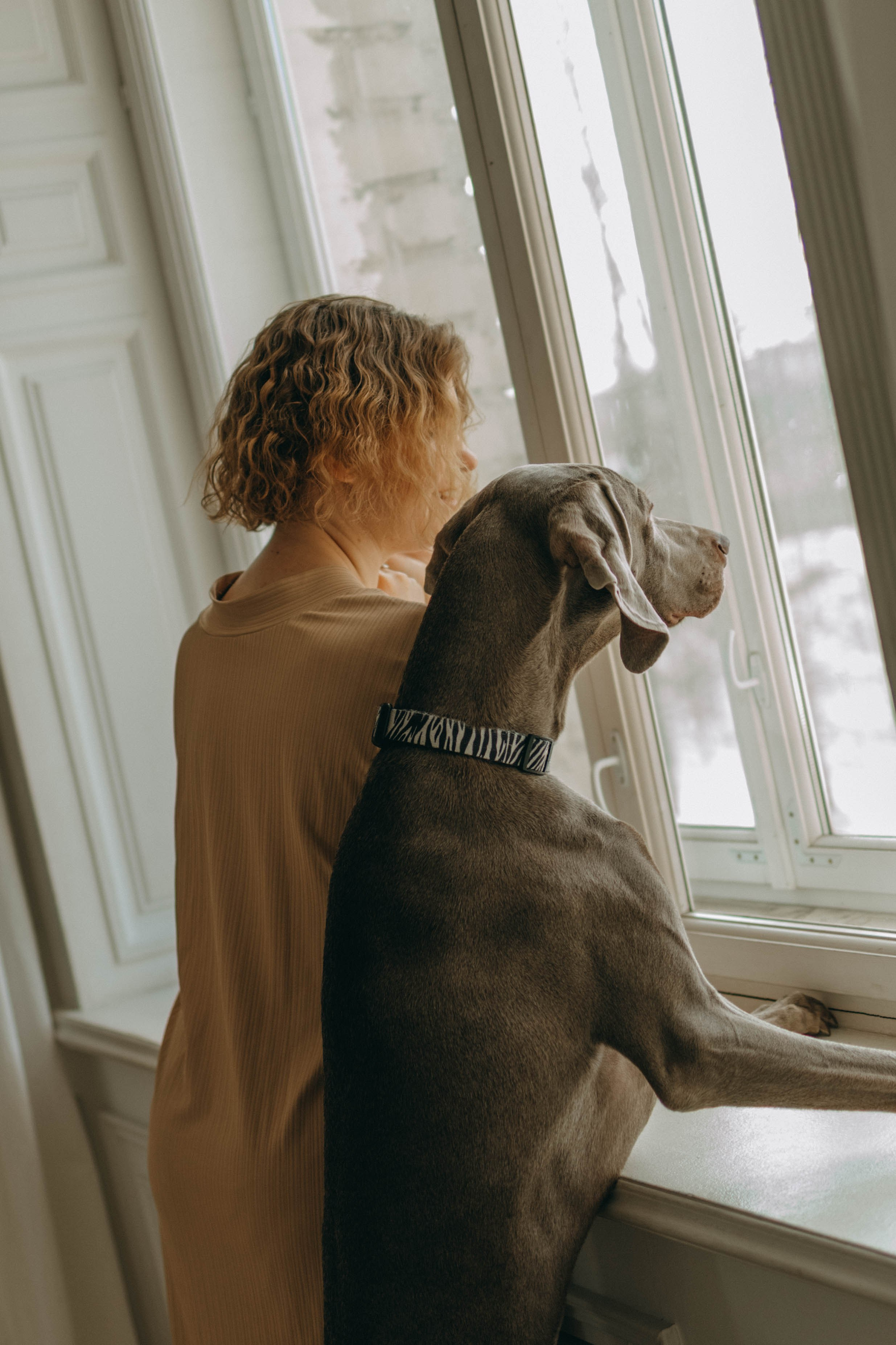 Фотосессия в студии с собакой. Фотограф-анималист в Екатеринбурге | Кристина