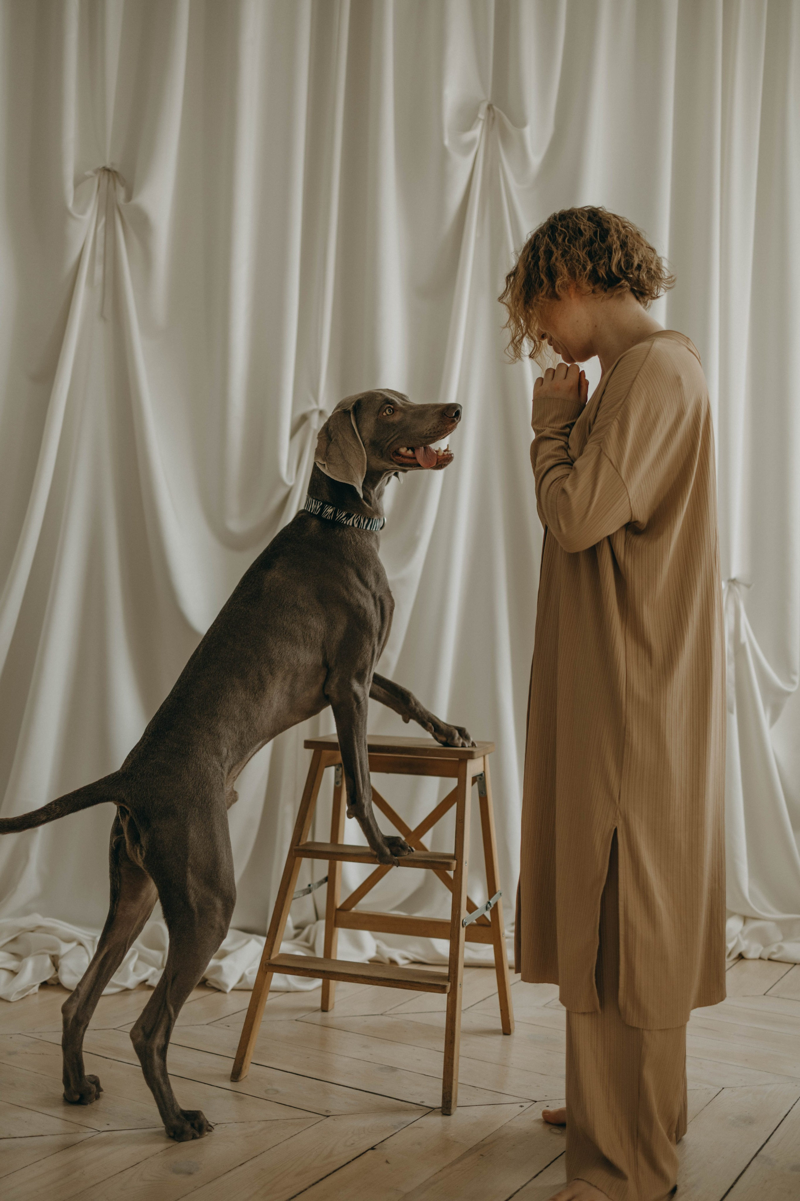 Фотосессия в студии с собакой. Фотограф-анималист в Екатеринбурге | Кристина