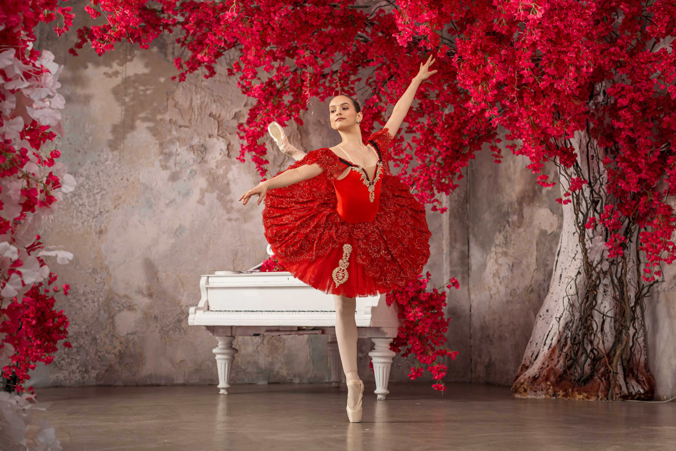 Балетная съёмка в интерьере. Балетный фотограф Алина Ханько — Душа Балета