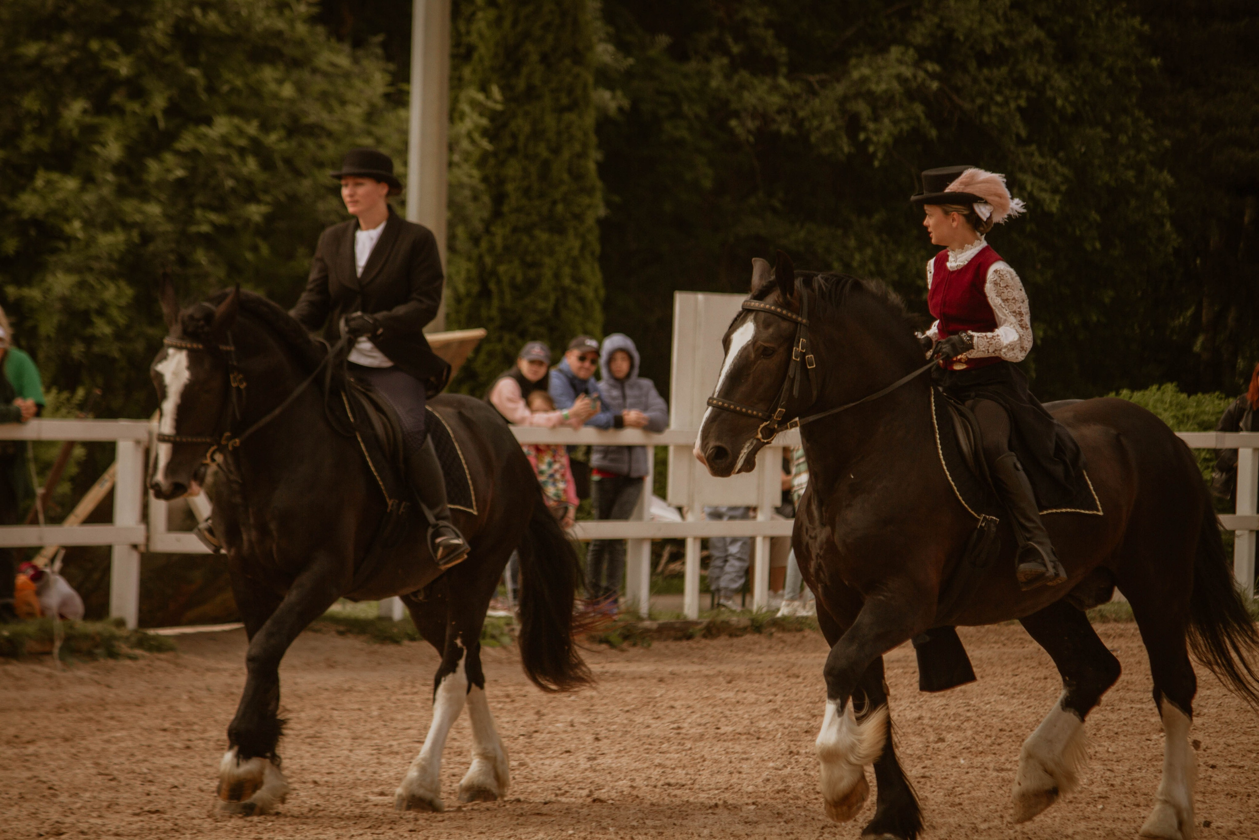 ИППОСФЕРА — Международная конная выставка. Создадим шедевр? Виталина и её фотоискусство