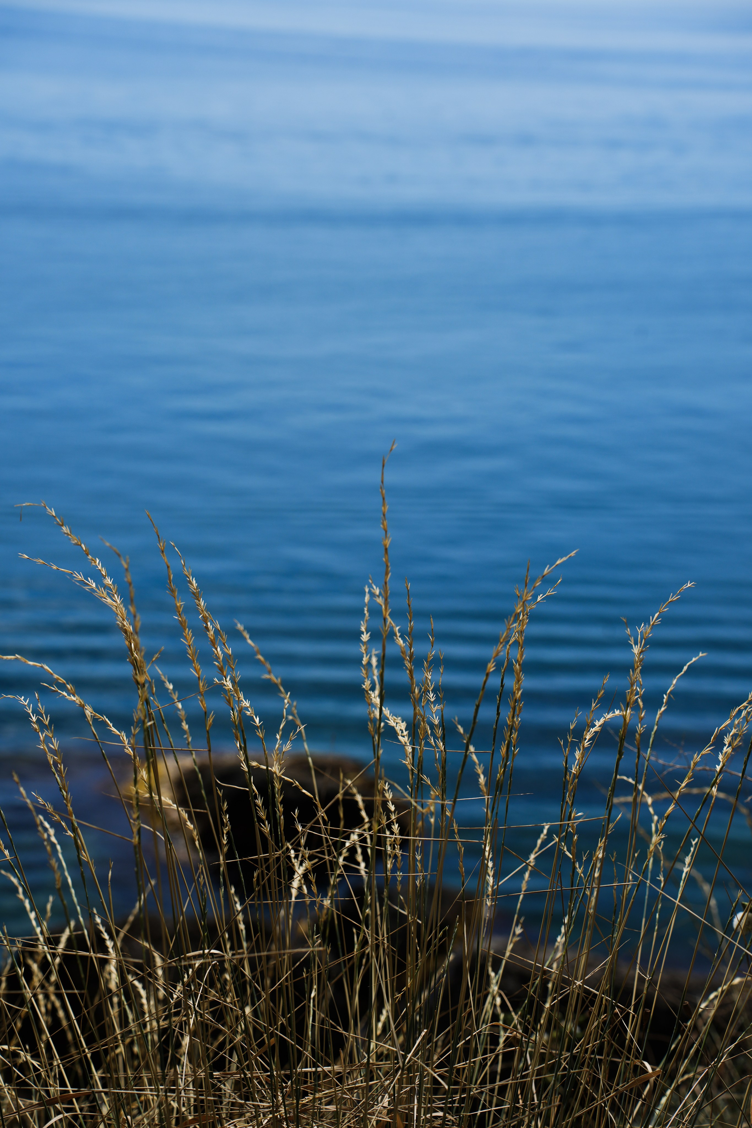 Крым. Анна Жукова — Режиссёр кино и цирка, сценарист, фотограф