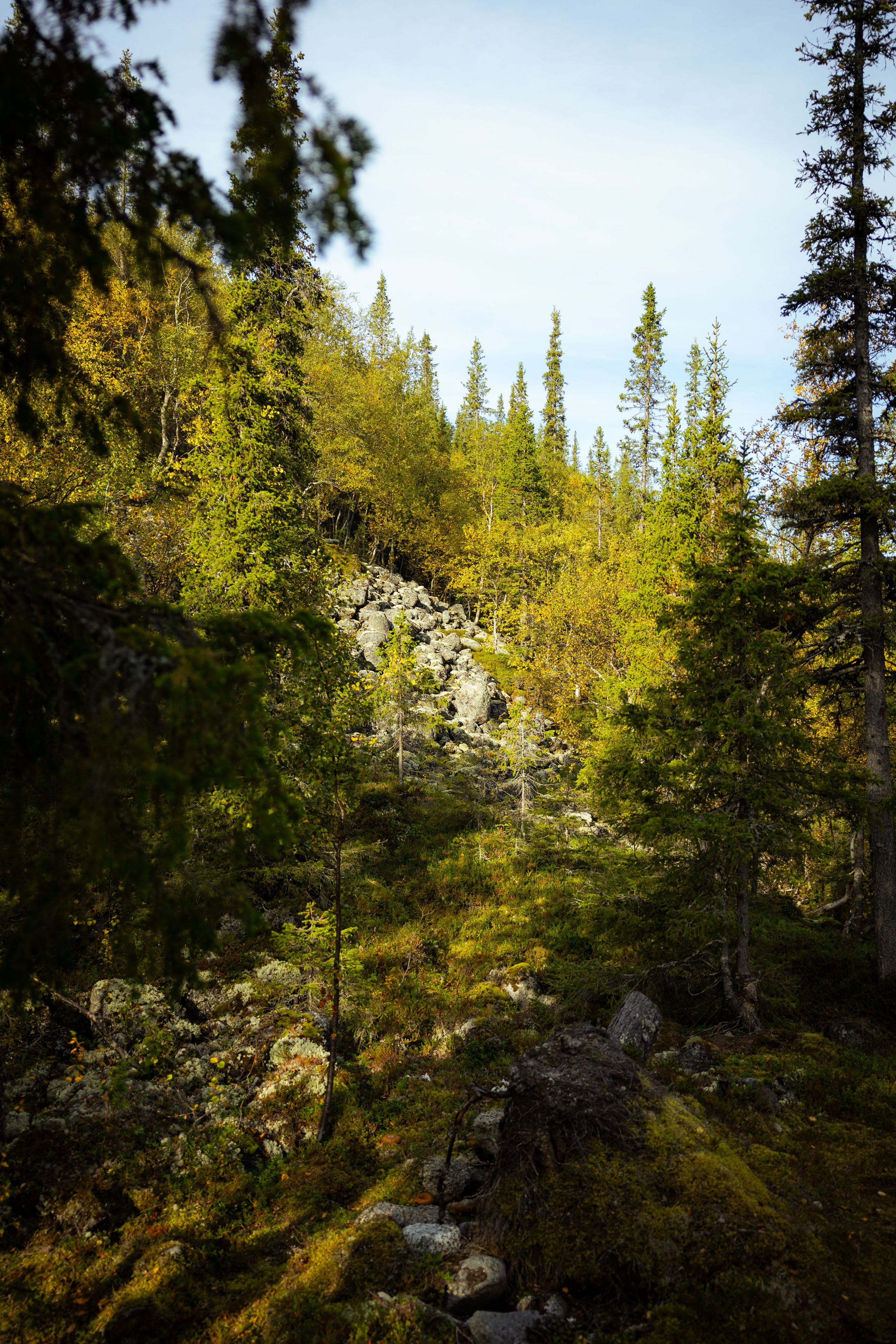 Кольский (осень 2025). Фотограф Виноградов Константин