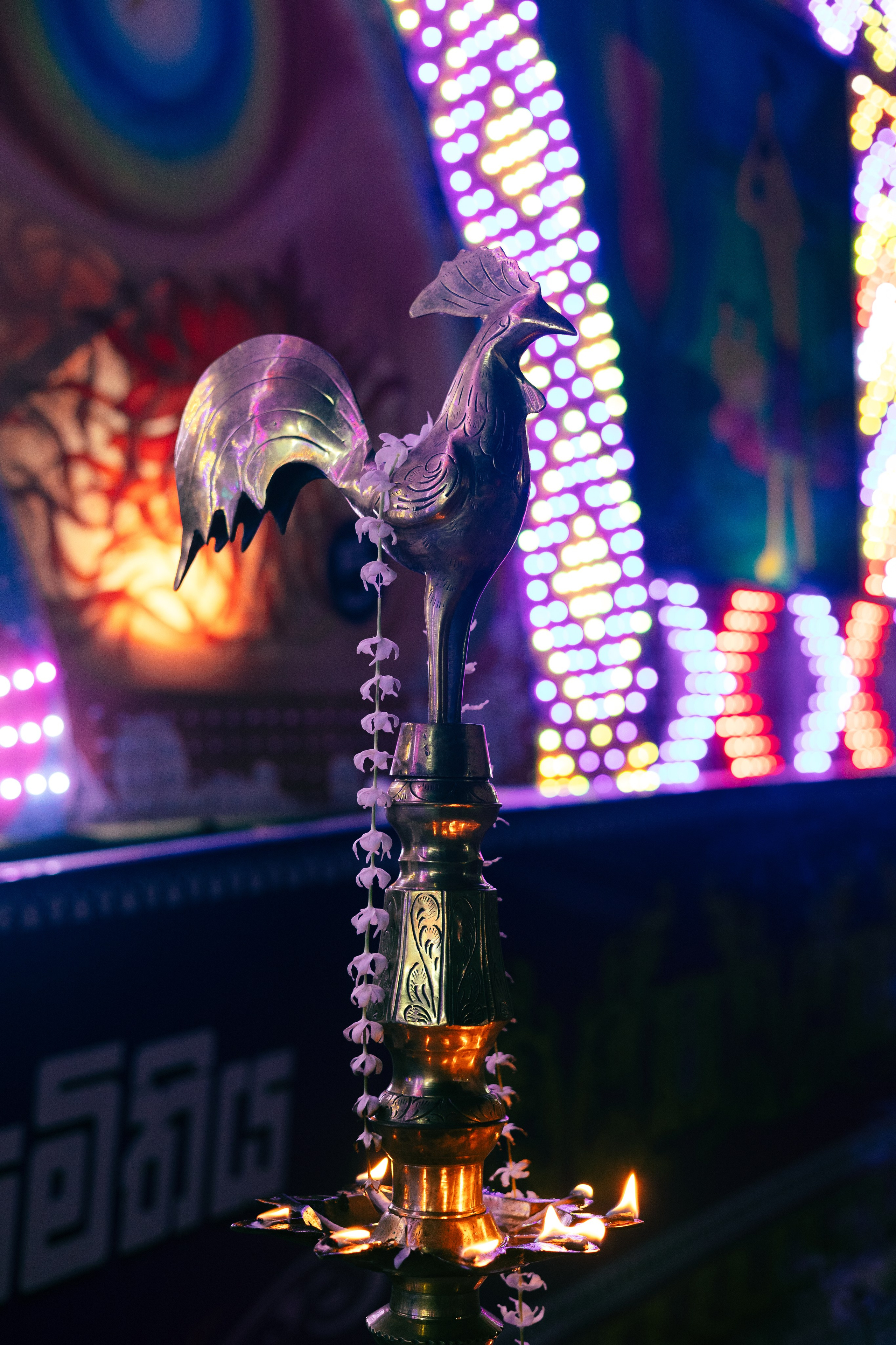 Vesak Poya 2023. Photographer Sonkina Tatiana (Tanya Ash)