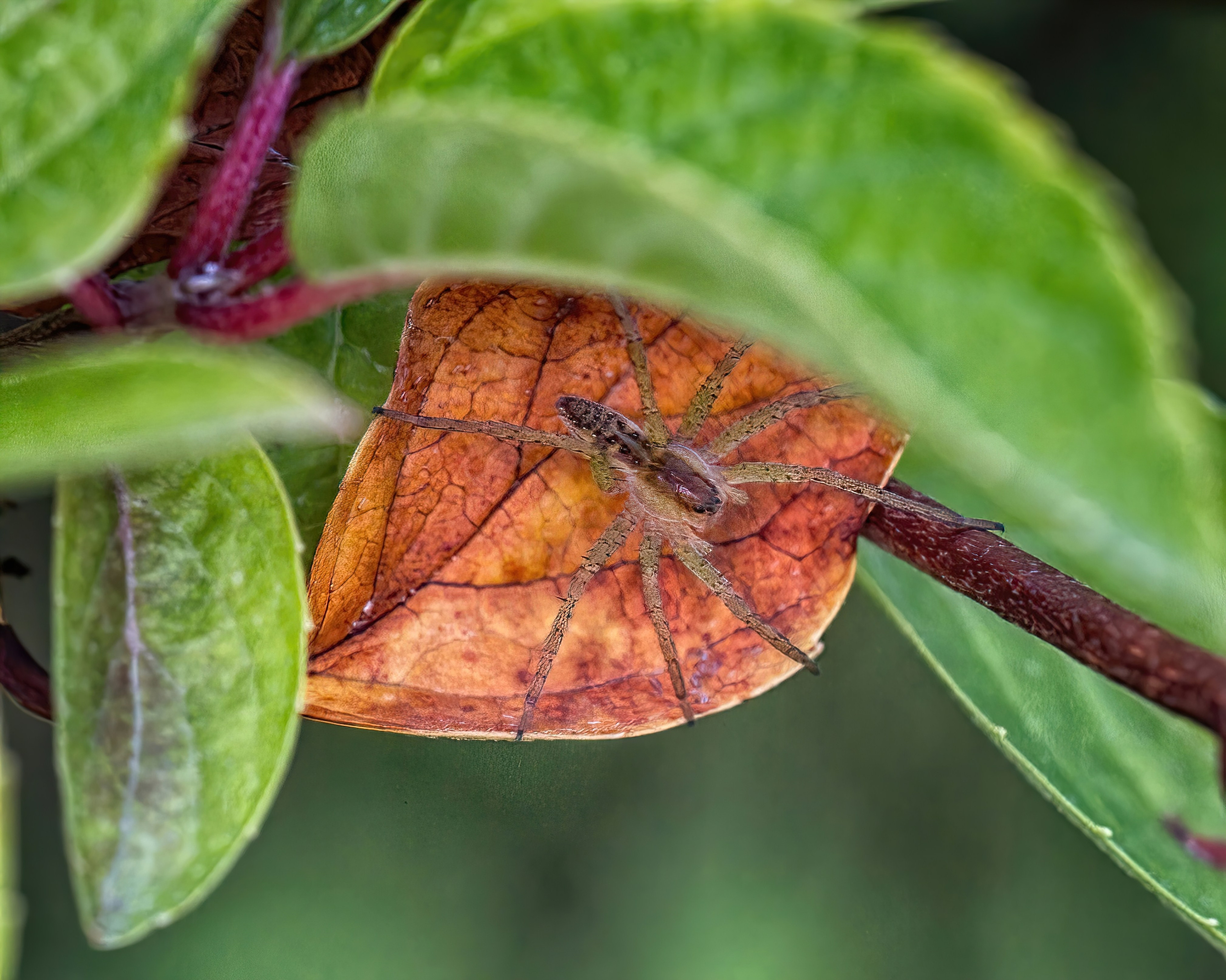 ПРИРОДА. Слепки времени. Фотографии природы и событий. Москва. Сергей Аллагулов
