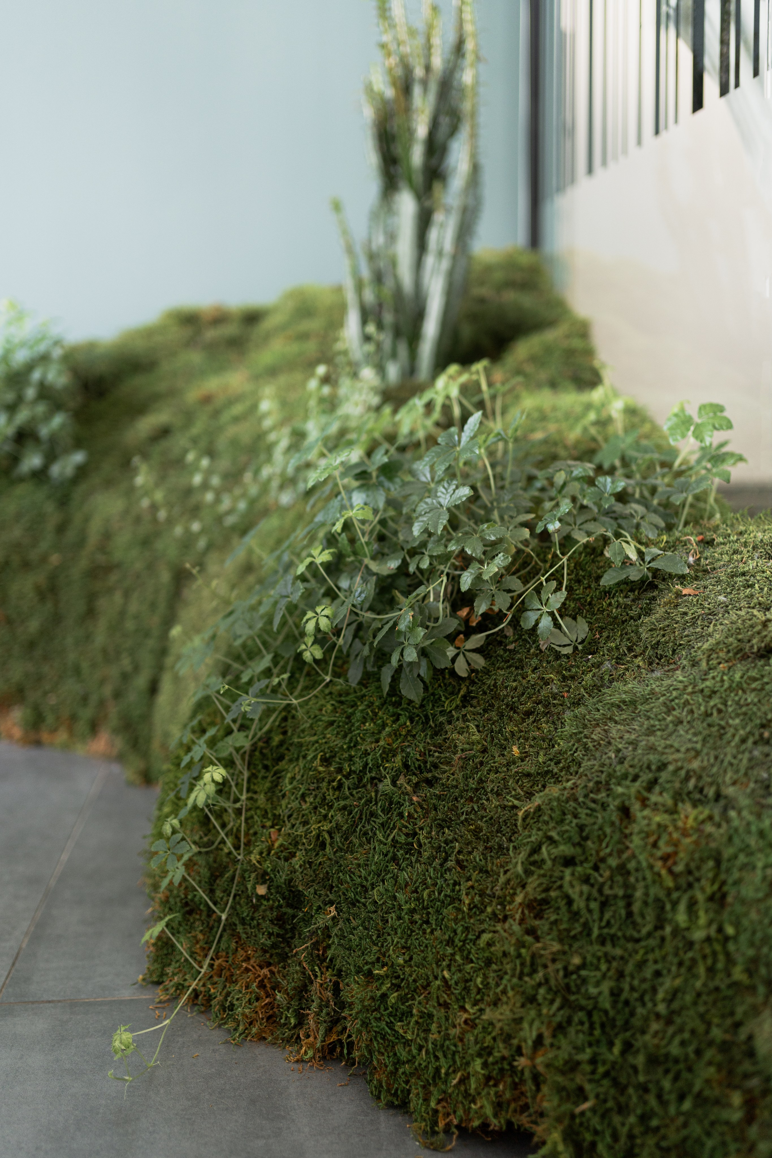 Terra. Елена Пашкевич, фотограф, Москва