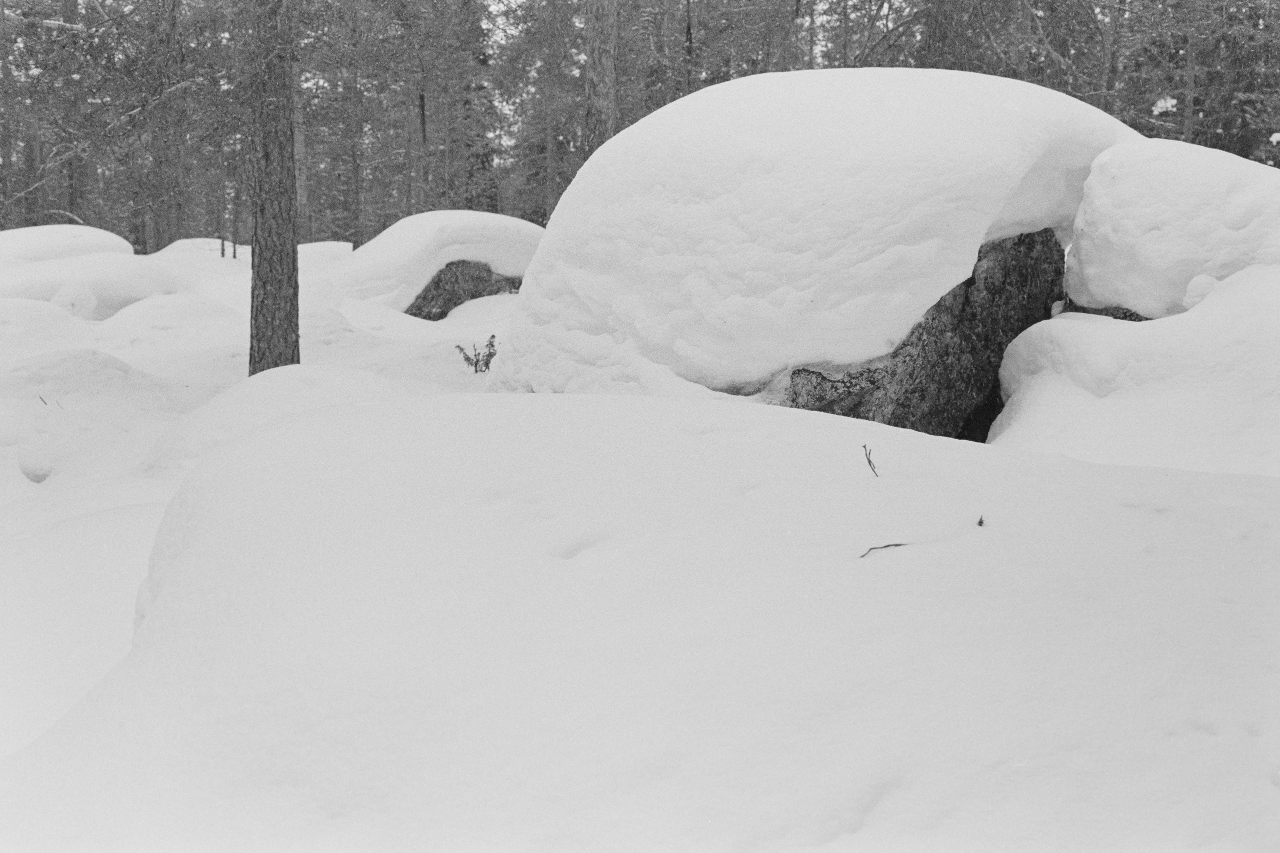 День проявки. Северные Ночи