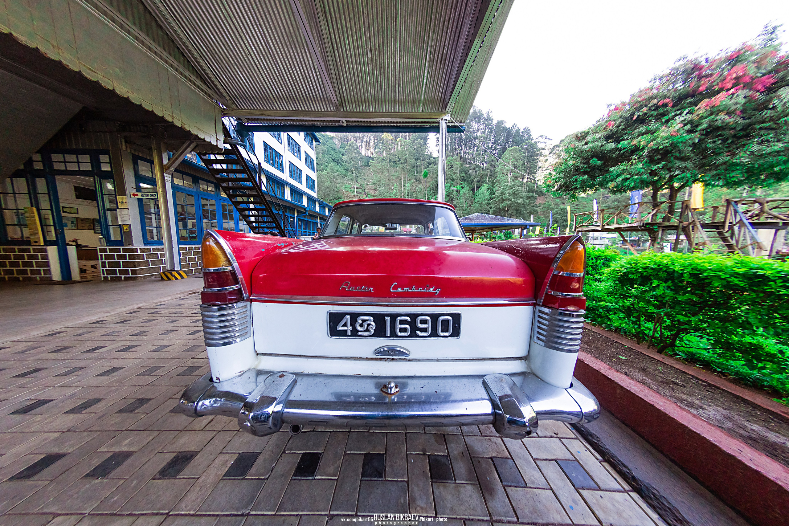 ШРИ-ЛАНКА 2025 / SRI LANKA 2025. Главная