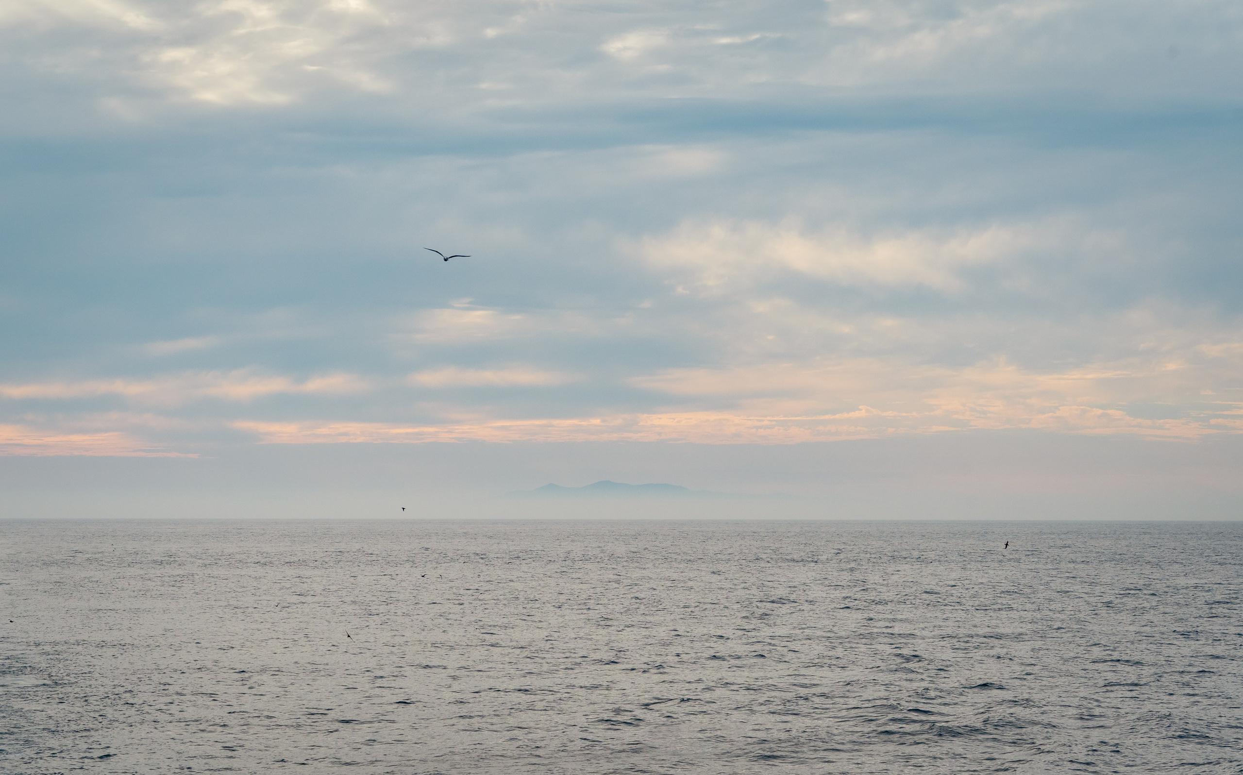 Сахалин. Семейный фотограф Варвара Сорока в городе Москве
