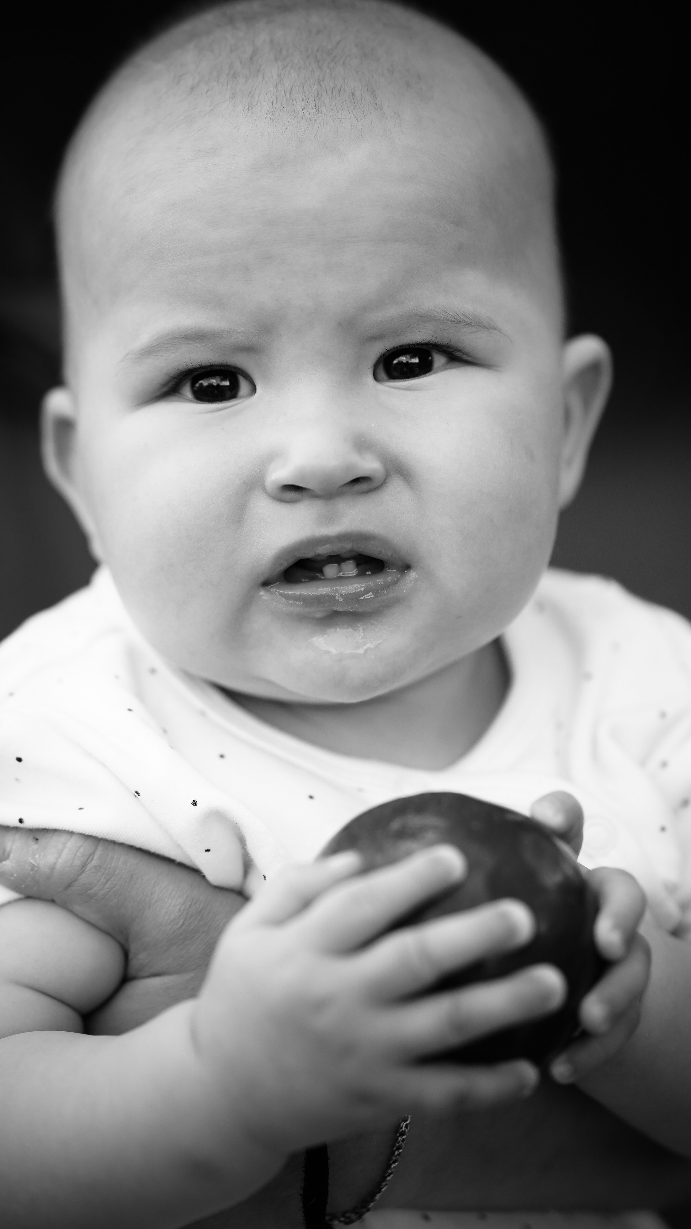 Летний пикник. Семейный и детский фотограф в Москве (Тинао) Галкина Алевтина
