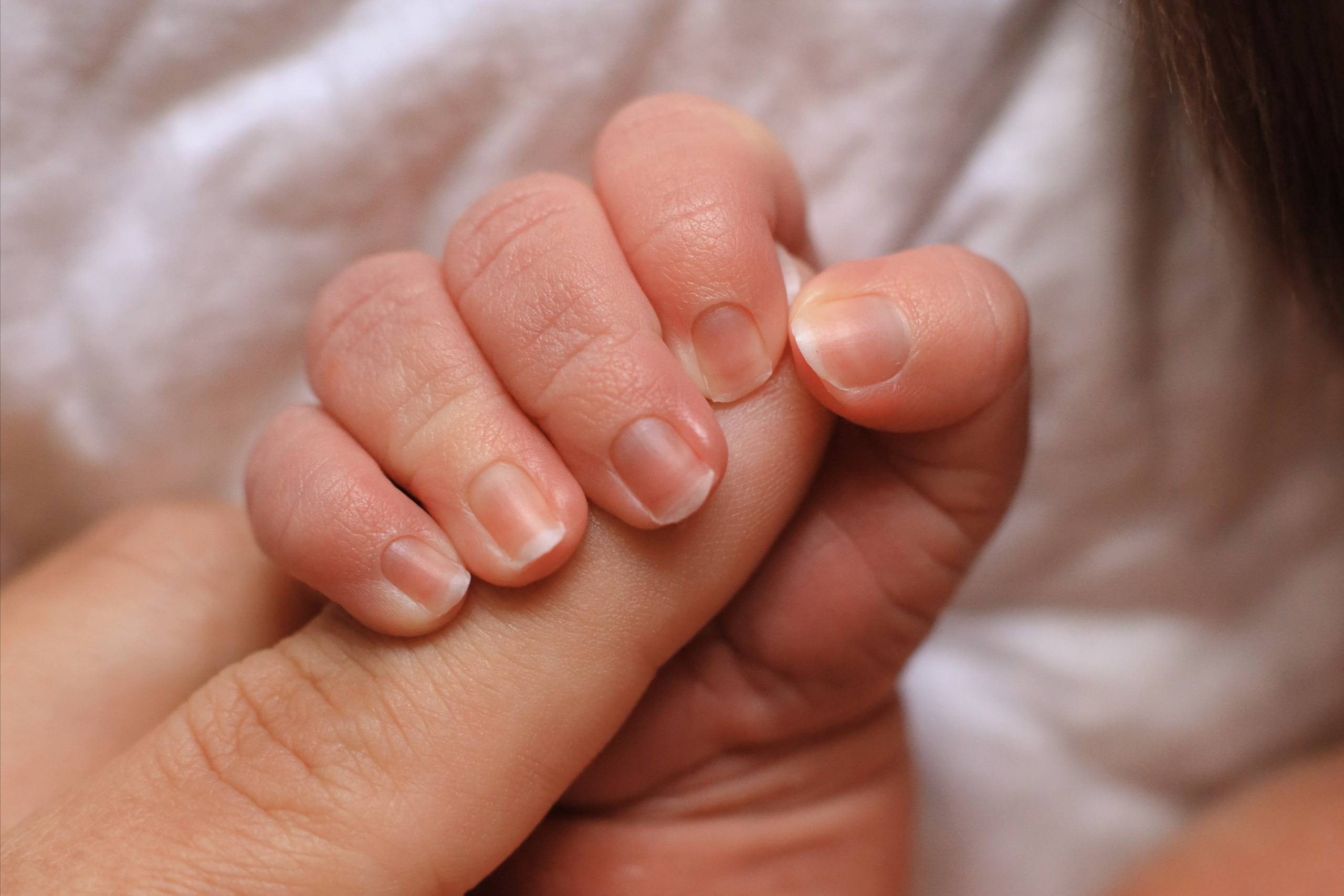 Глеб 11 дней. Семейный фотограф и фотограф новорожденных в Санкт-Петербурге Алина Фе