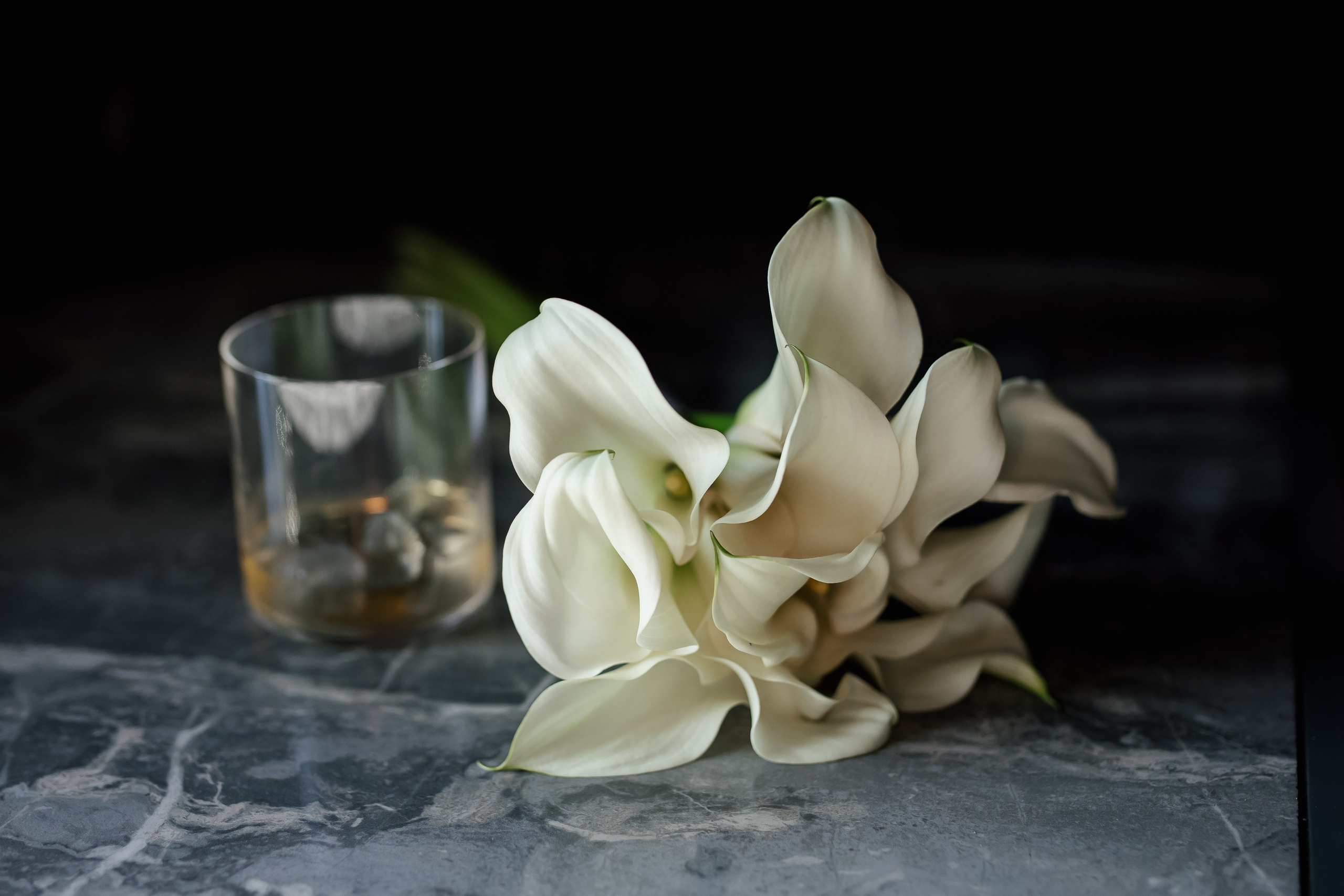 Свадебный фотограф в Хабаровске