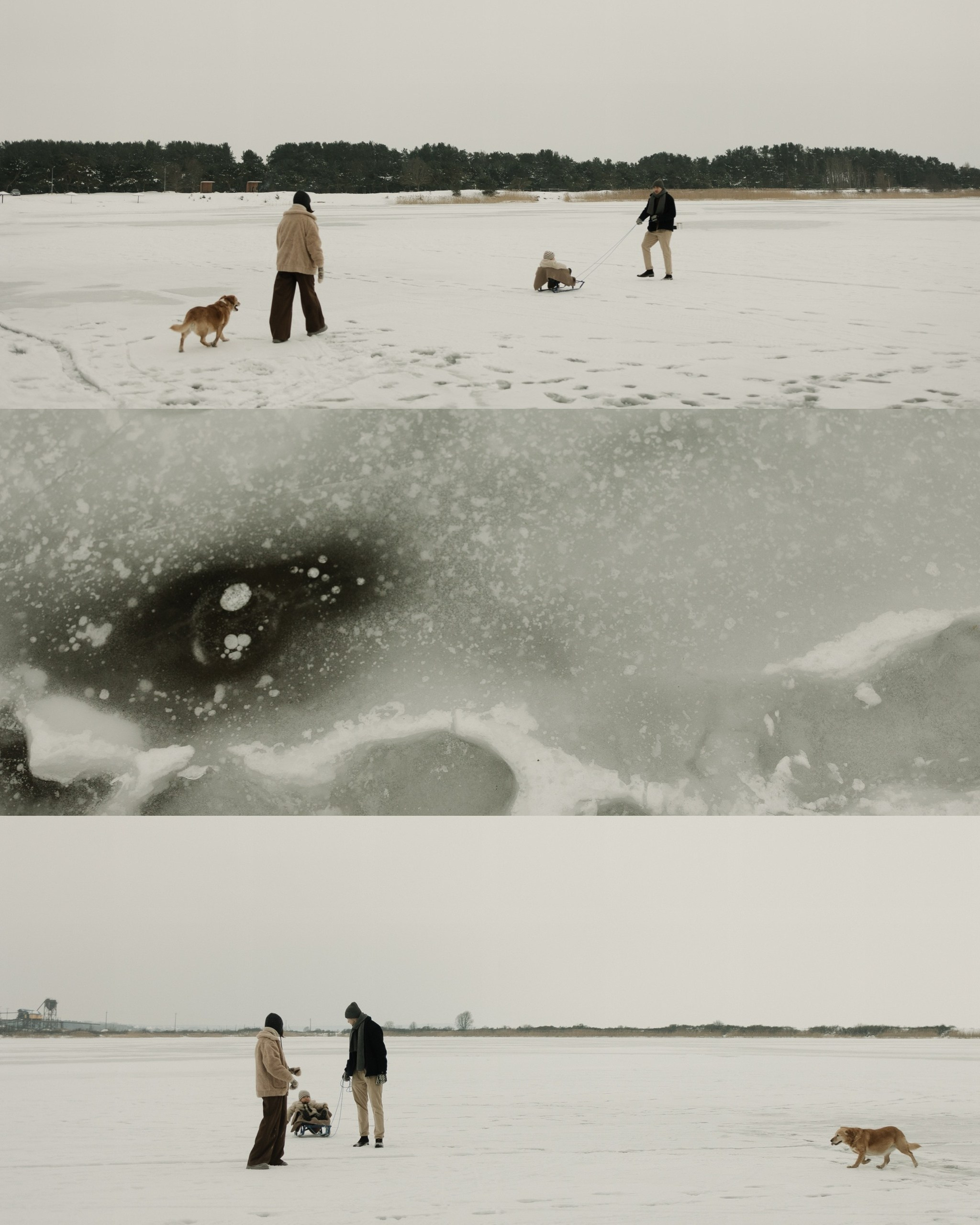 Семейные истории 2026