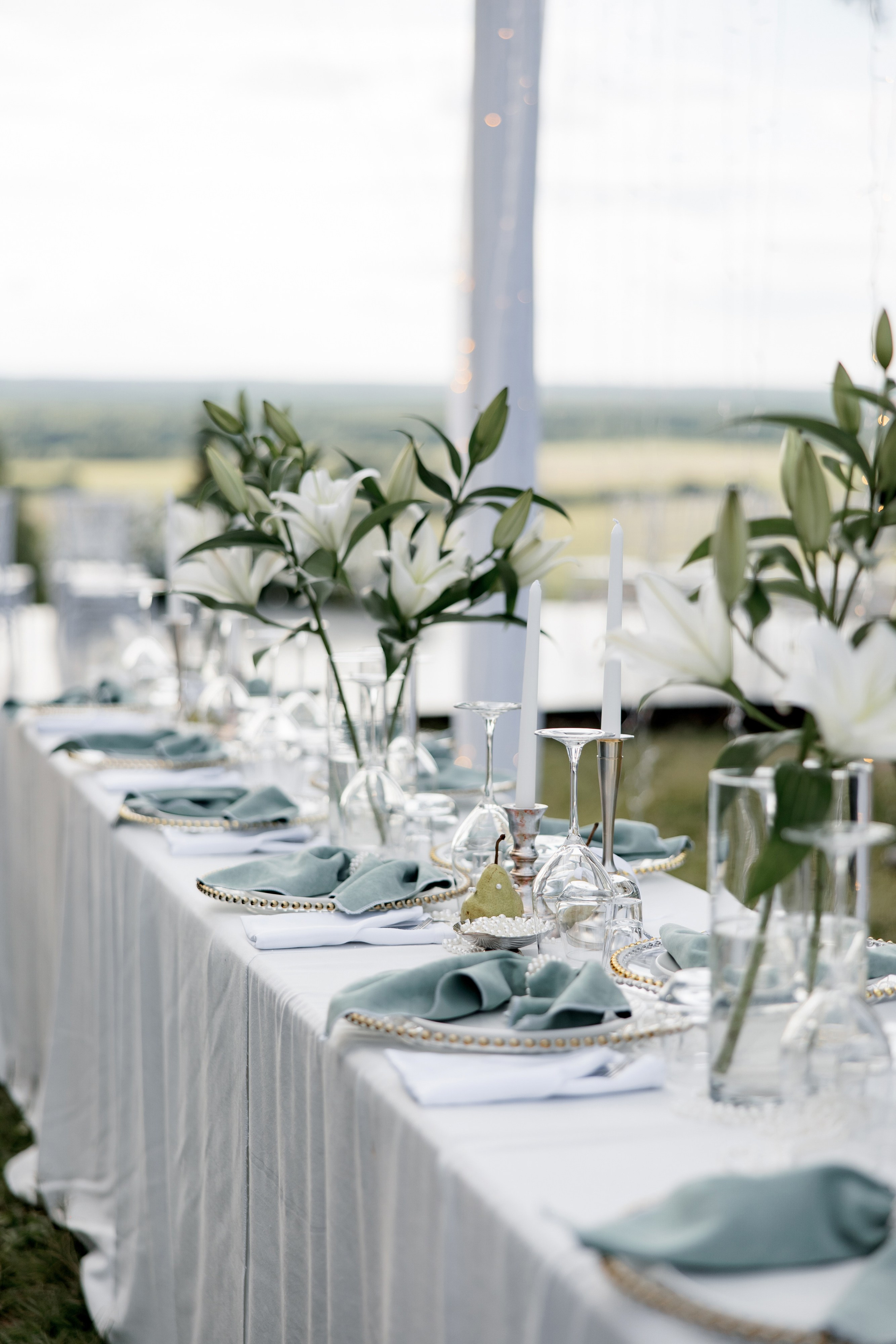 Виоланта & Леонид. The STORIES Event Studio