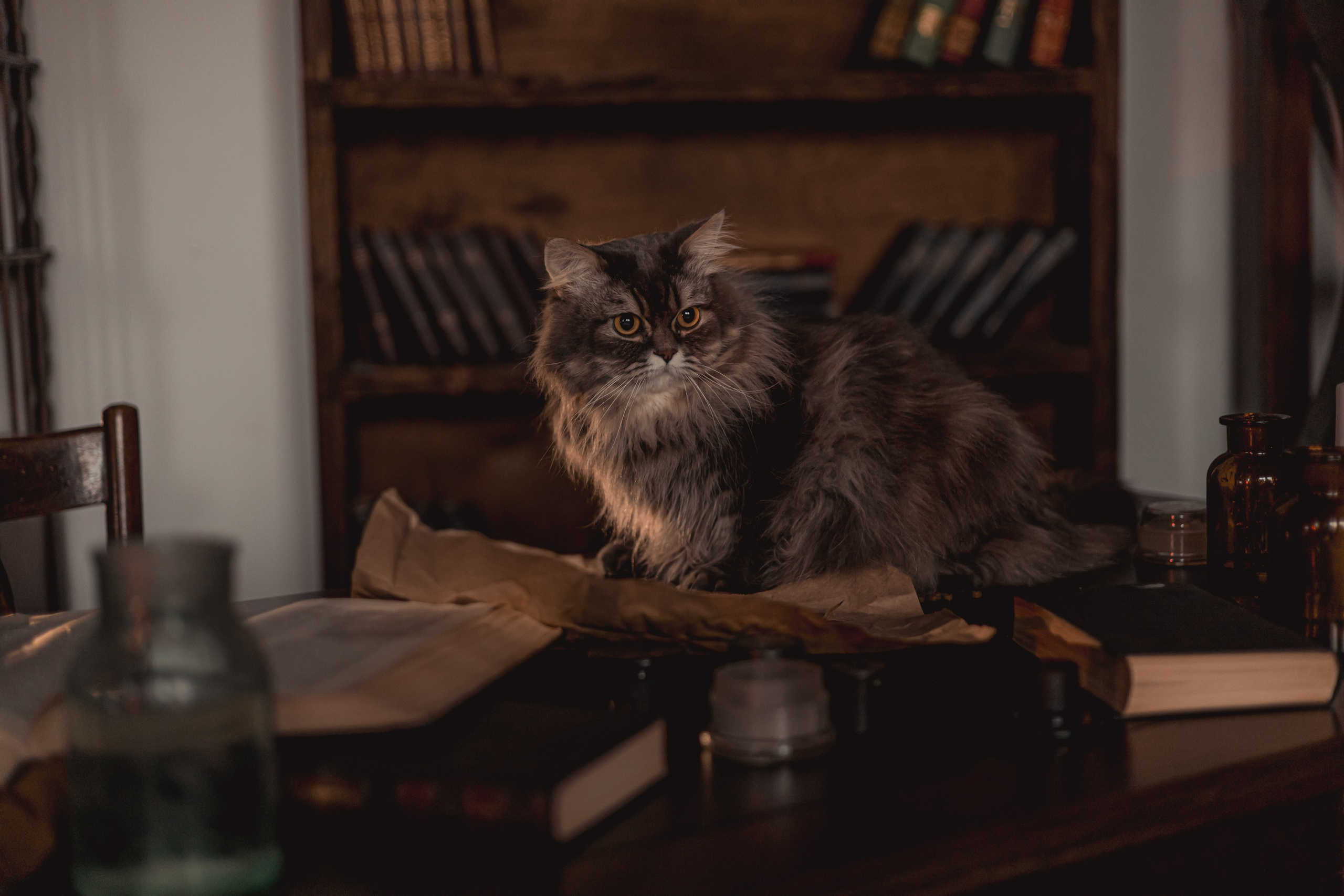 Алхимики. KATERINA VINOKUROVA ФОТОГРАФ ПЕРМЬ