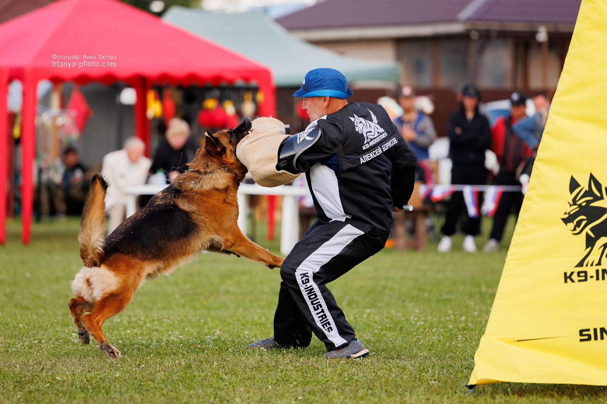 Немецкие овчарки: фото из рингов и вне ринга, мутпроба (фотографии с выставок). Фотограф собак, фотограф-анималист Аня Титова (Titanya). Москва