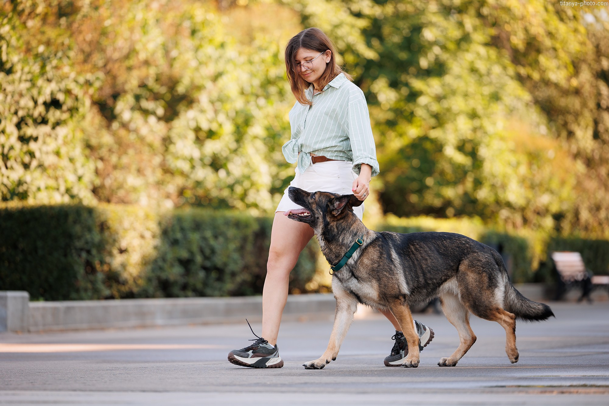 Маша и Харпи. Фотограф собак, фотограф-анималист Аня Титова (Titanya). Москва