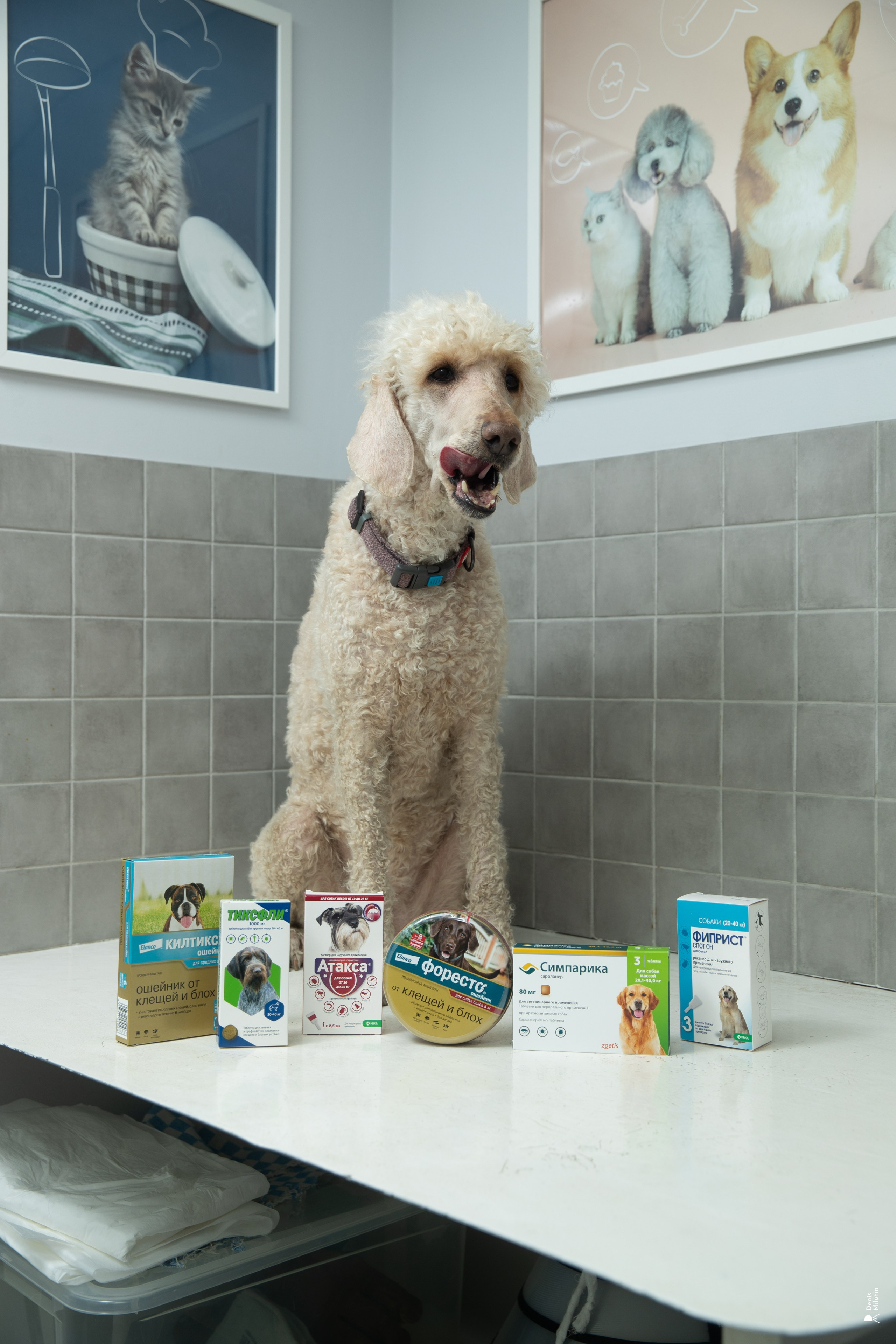 Дона. Портретный фотограф Денис Милютин