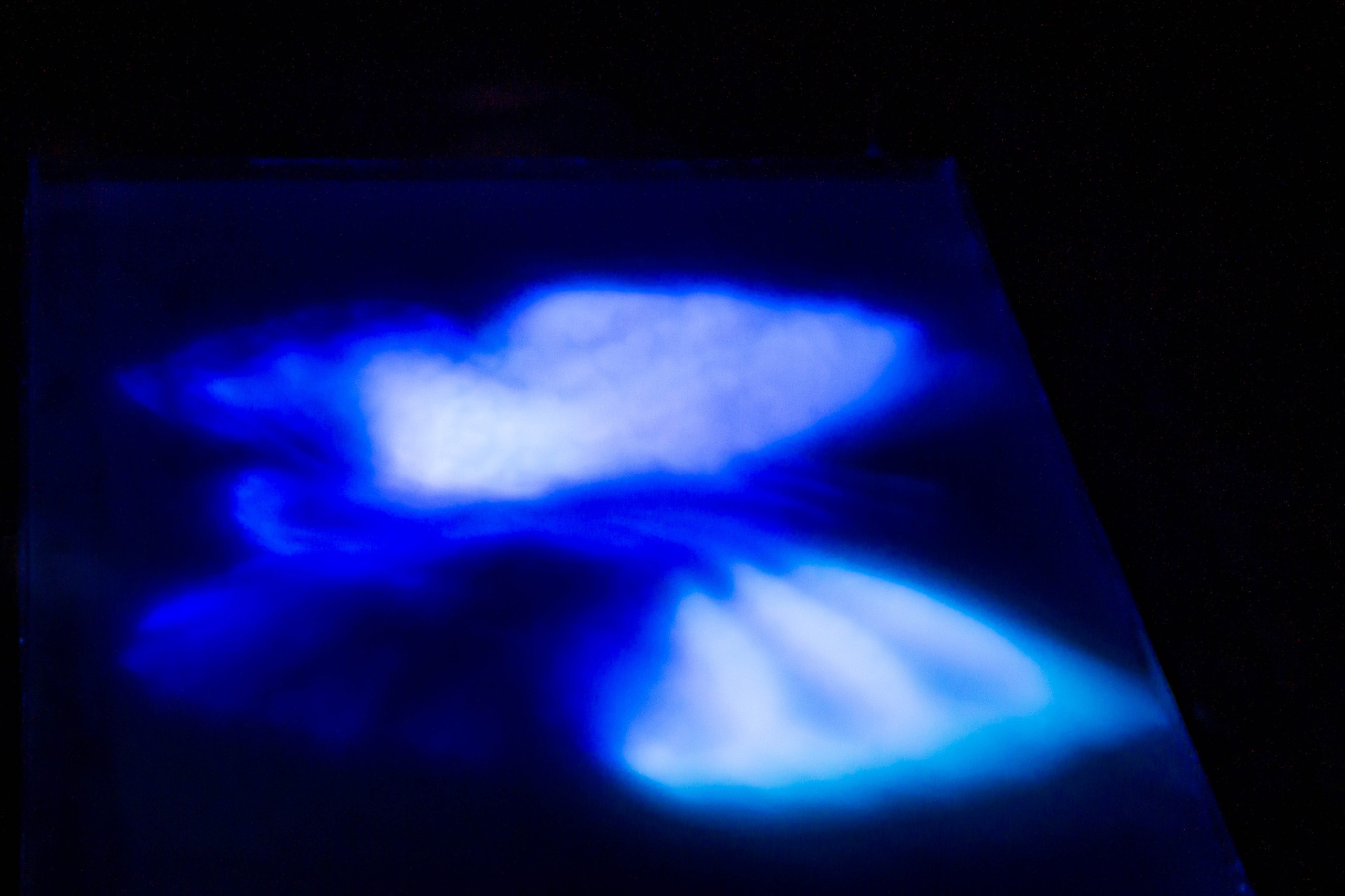 VI Межвузовский Хакатон DigitalArt.EACA