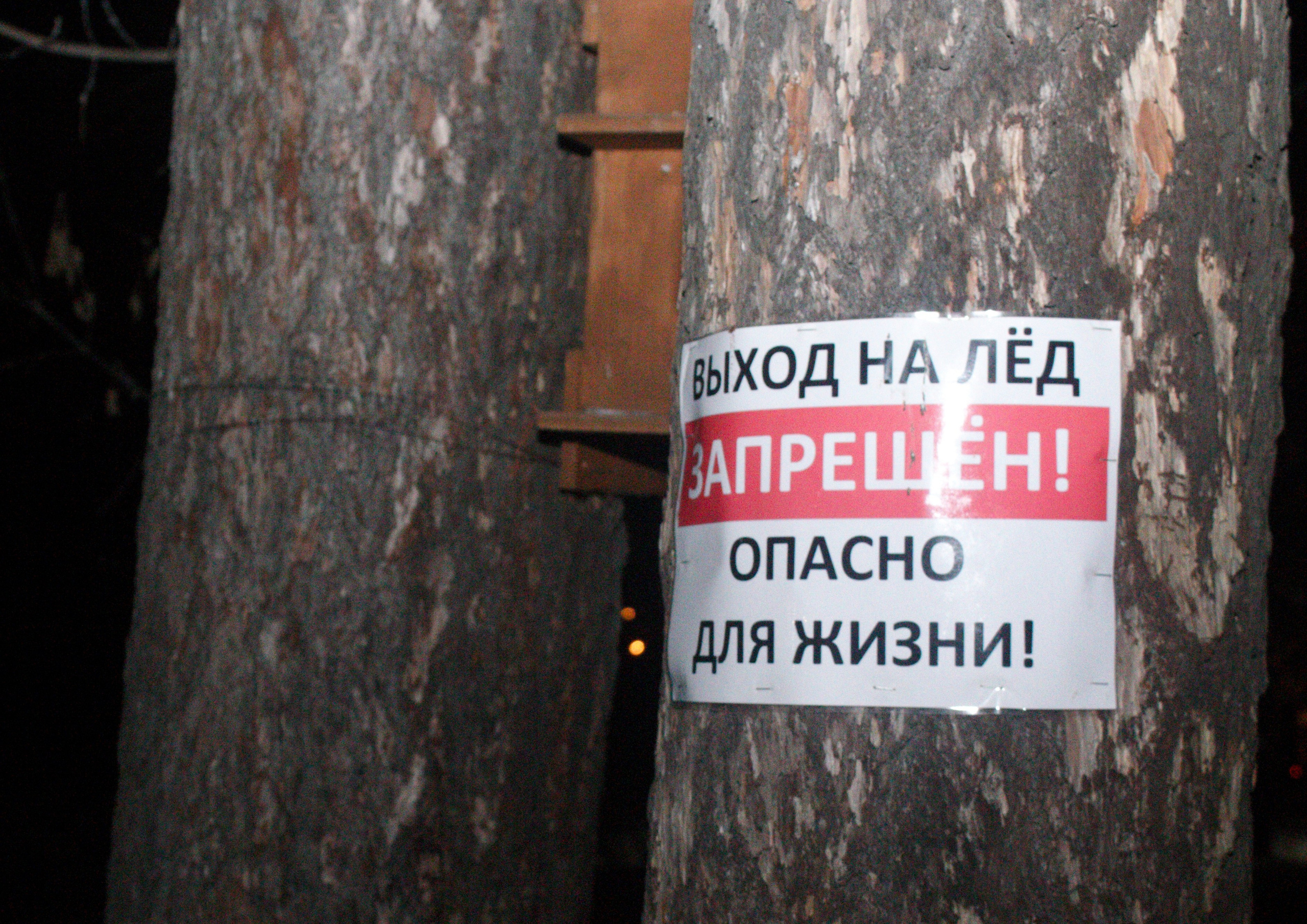 НЕ ТЕМНО 2024