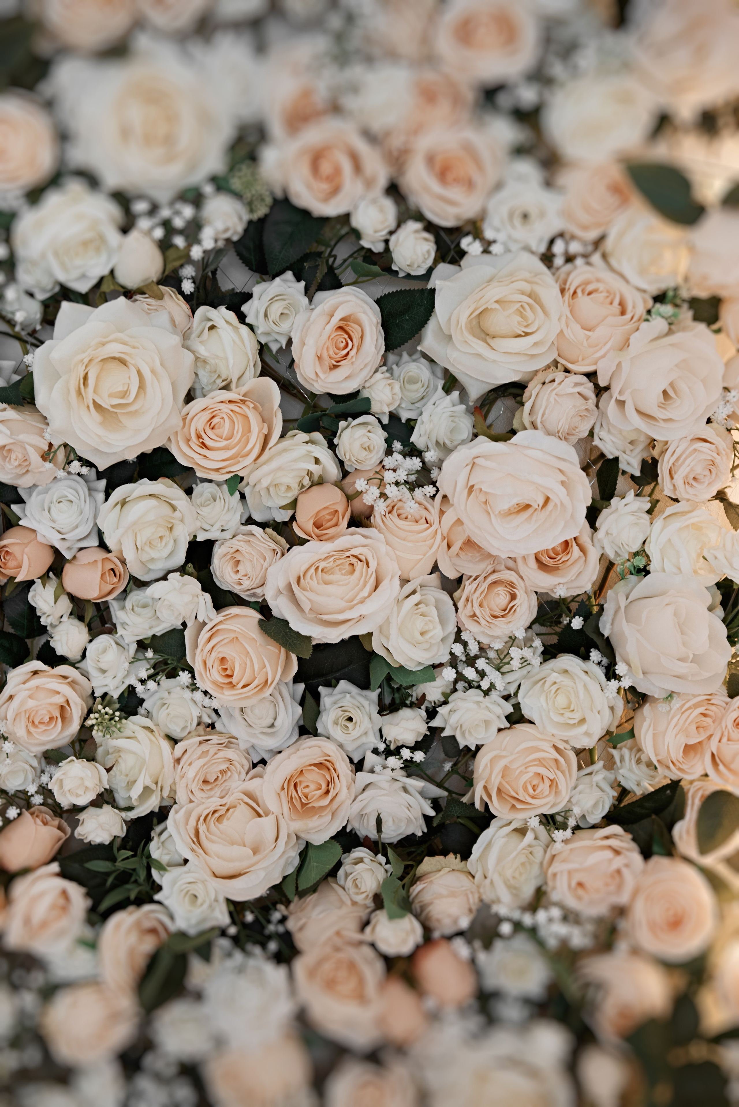 25.05. 24 Артур и Катя. Свадебный фотограф Юлия Гусева