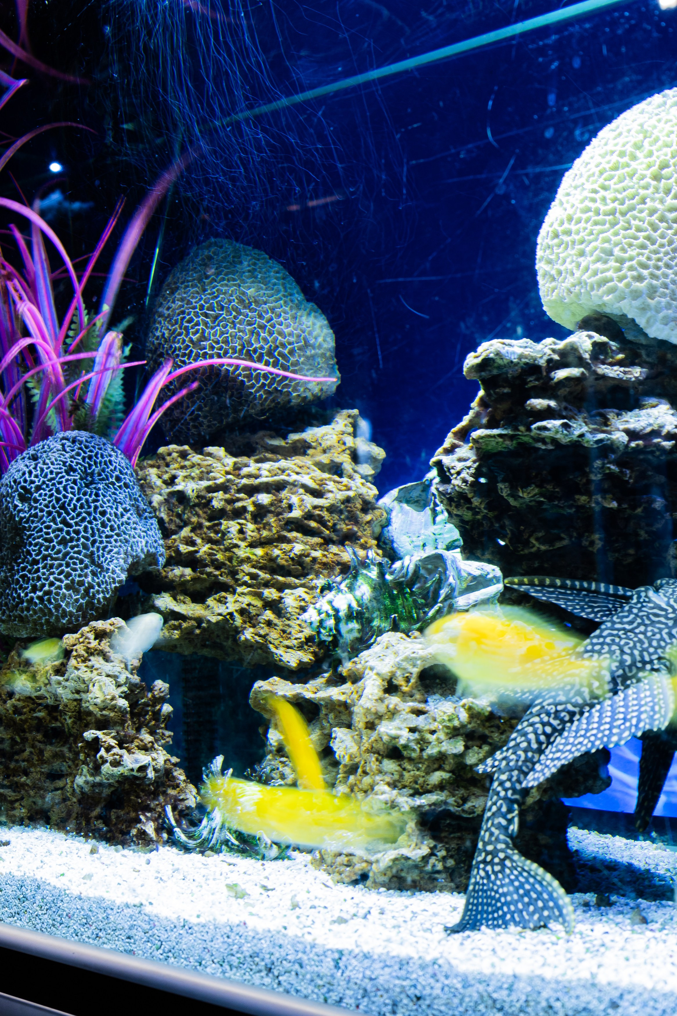 Детали. Свадебный Фотограф в Иркутске Екатерина Елисеева