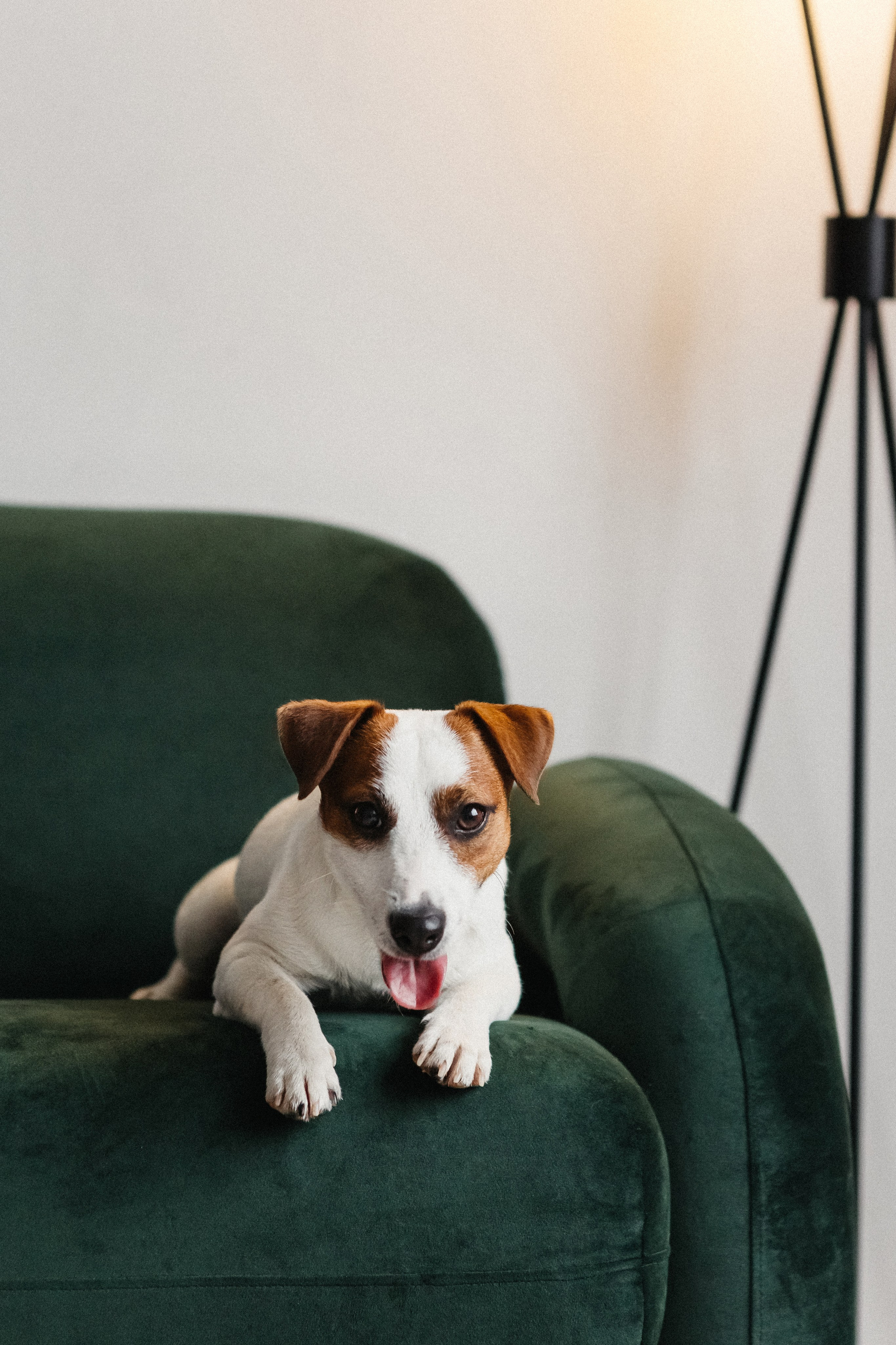 2024.03.24 Танюша, Руслан и Боба. Ирина Бешляга. Фотограф в Москве и по всей России