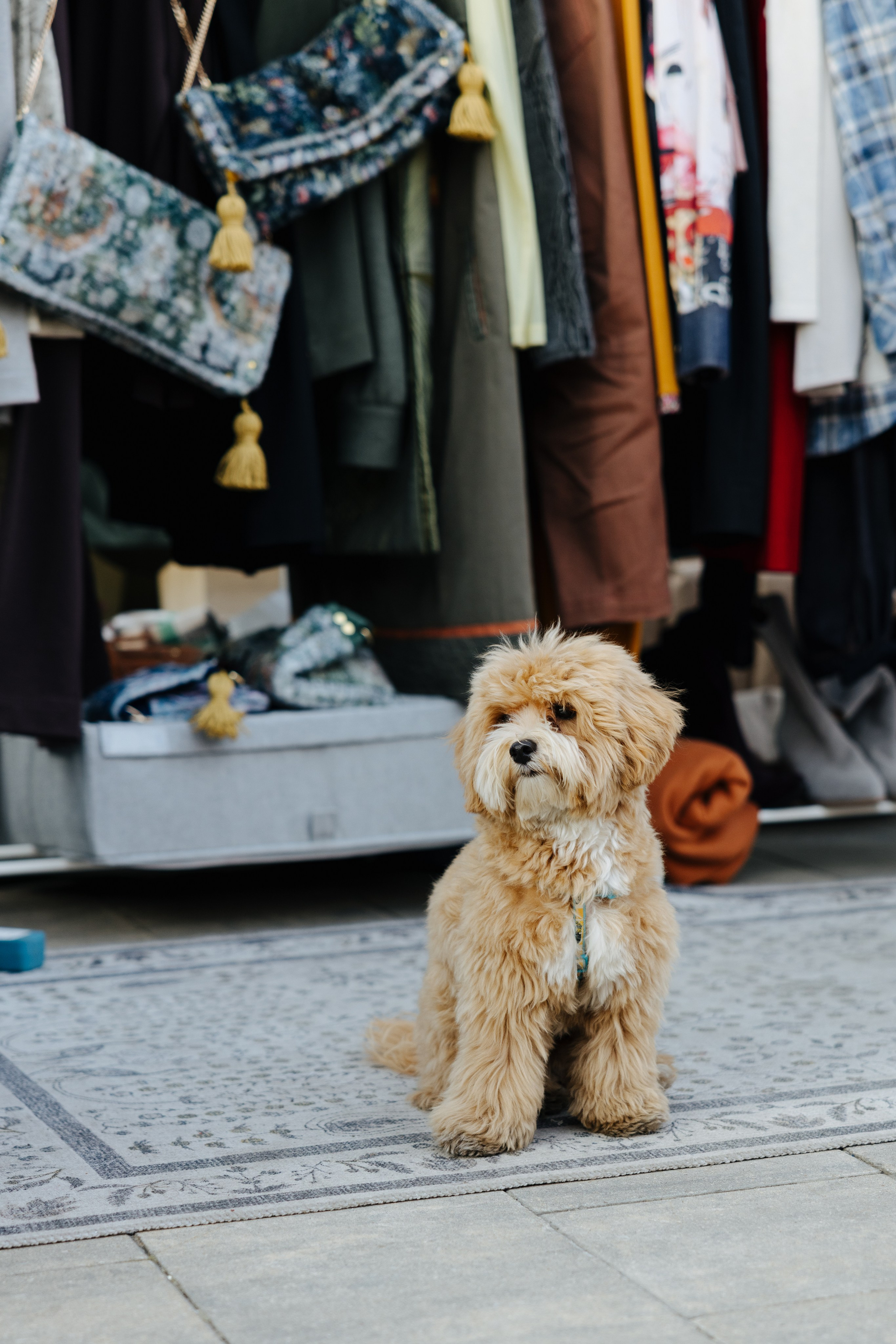 13–14 сентября 2025 на Даниловском рынке / День 2 / фото Валерий Белобеев. Фотоотчеты «Ламбада-маркета»