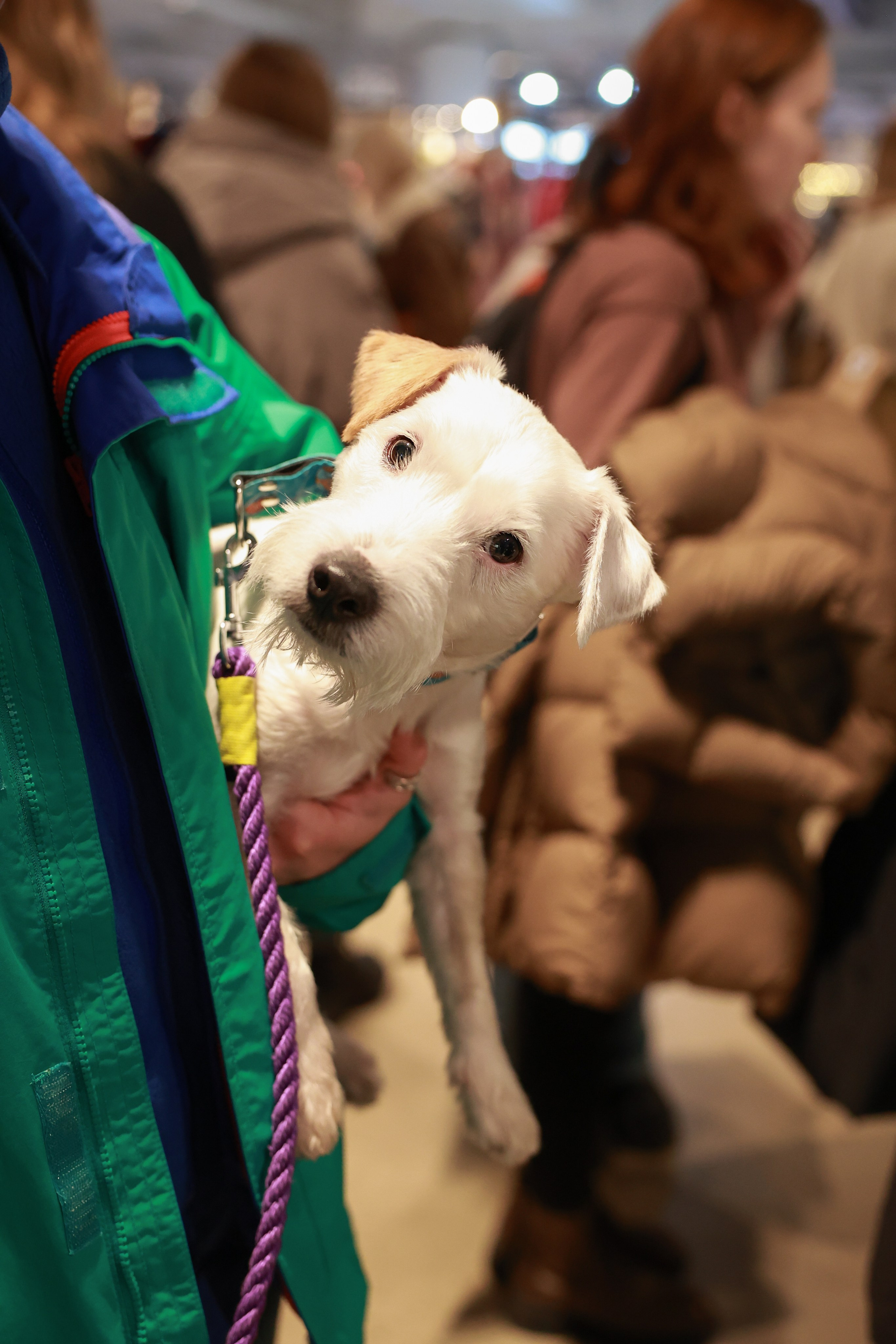 23–24 декабря 2023 в «Три вокзала. Депо» / День 1. Фотоотчеты «Ламбада-маркета»