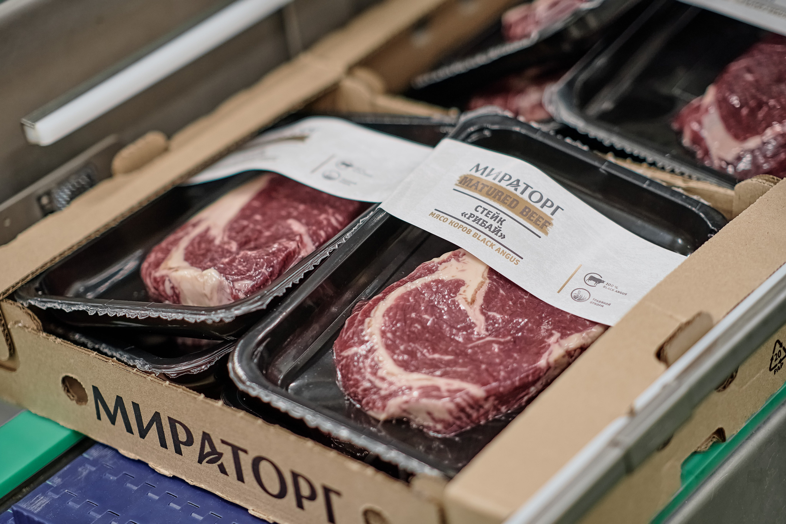 Фотограф на мероприятие. Light Media — креативный видеопродакшн