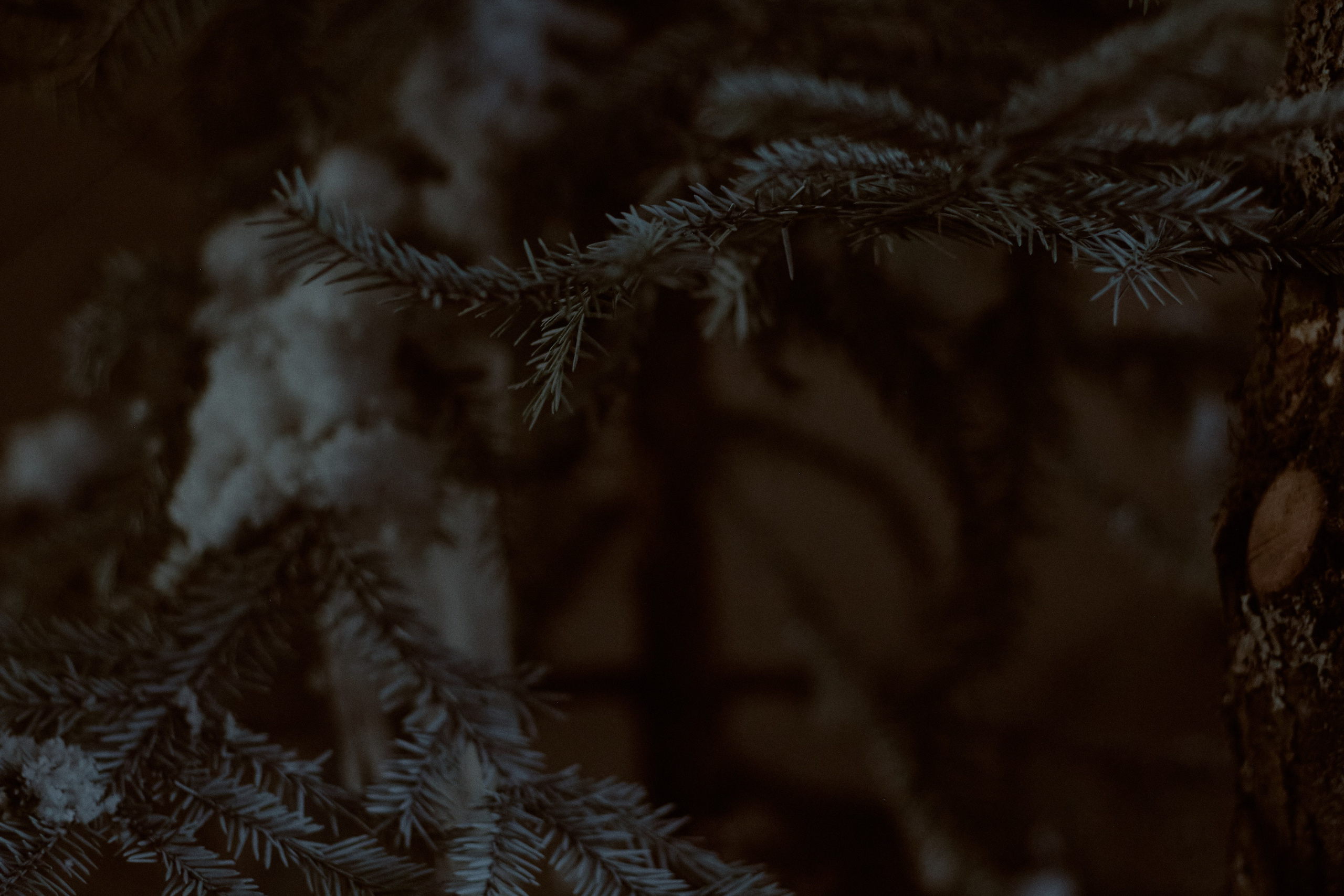 Тень. Фотограф лавстори Москва/МО Приятелева Ангелина