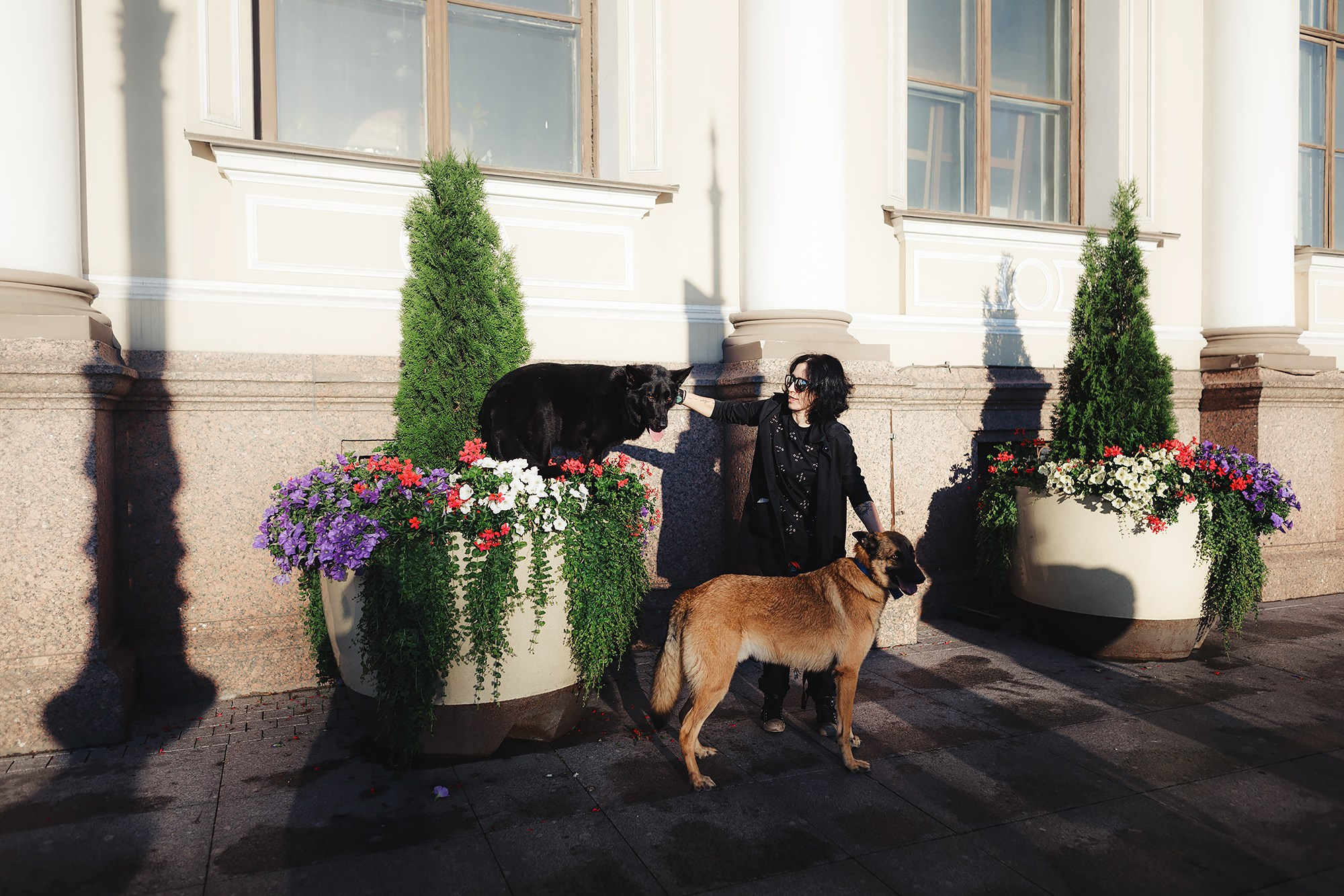 Алена, Кай и Мара. Фотограф-анималист Mary Mart — Москва, Питер