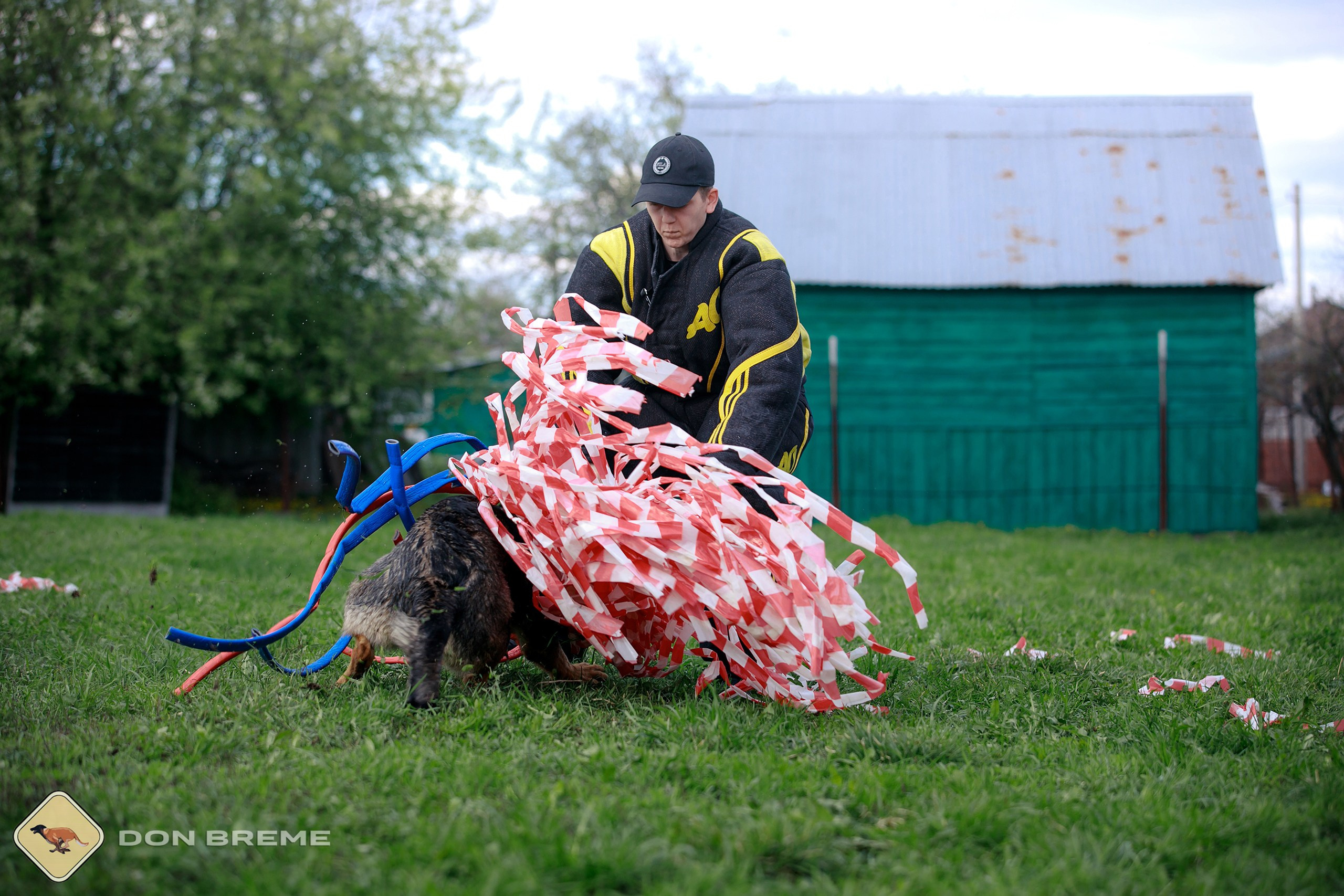 Семинар для фигурантов, день 2. Фотограф-анималист Mary Mart — Москва, Питер