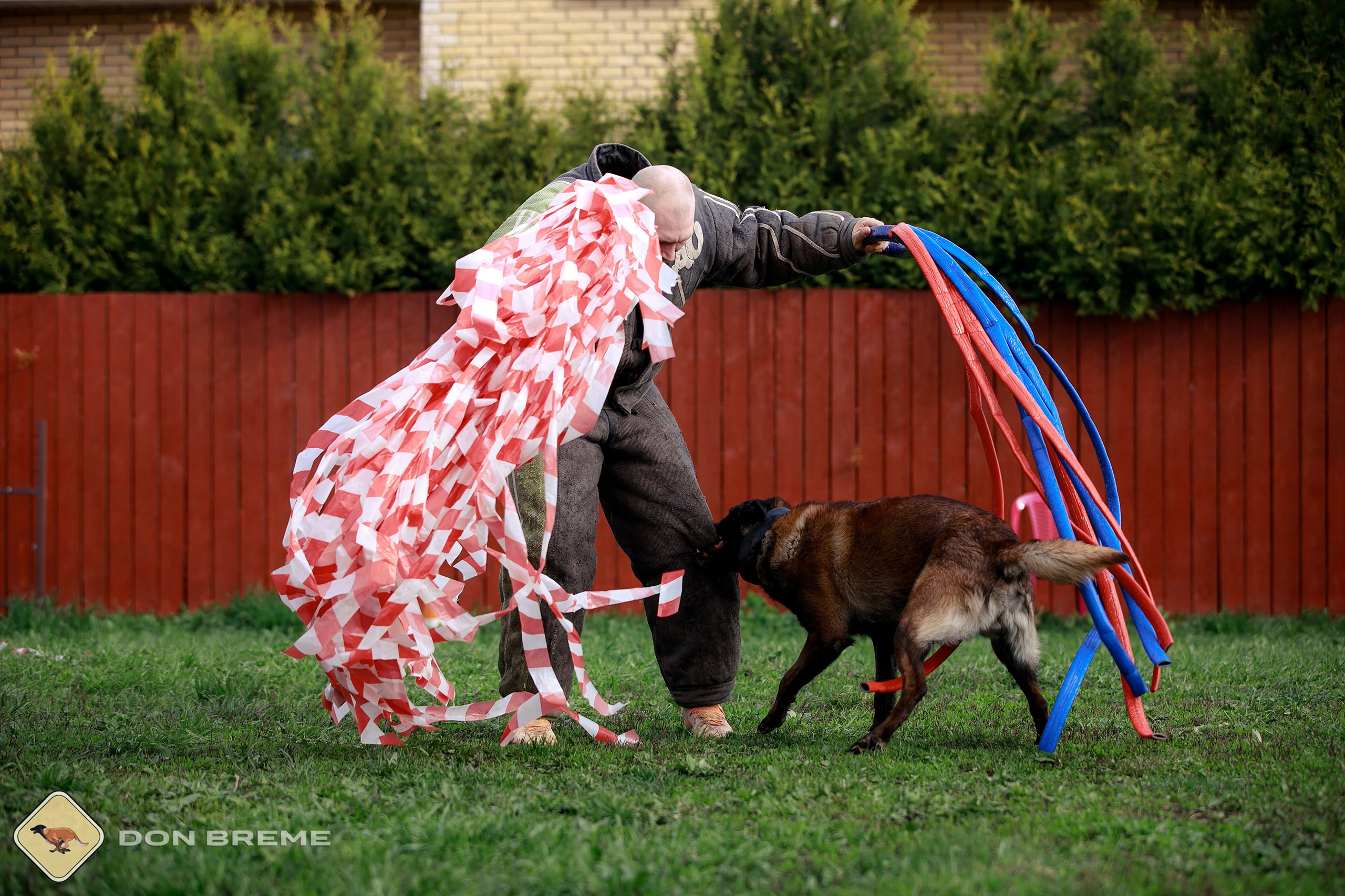 Семинар для фигурантов, день 2. Фотограф-анималист Mary Mart — Москва, Питер