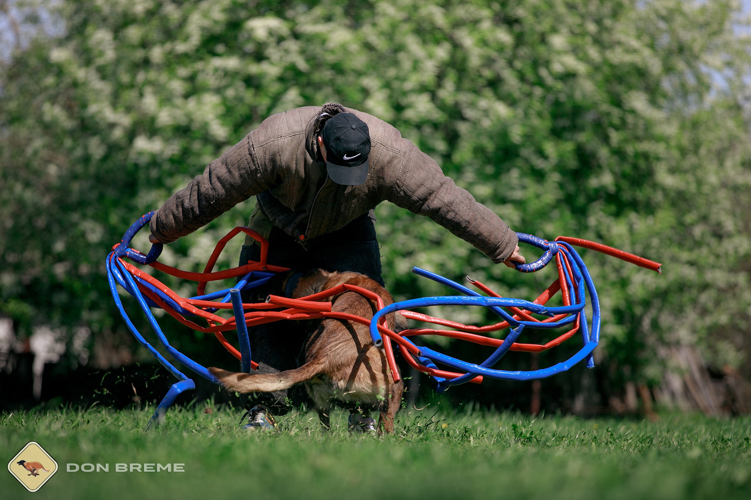 Семинар для фигурантов, день 4. Фотограф-анималист Mary Mart — Москва, Питер