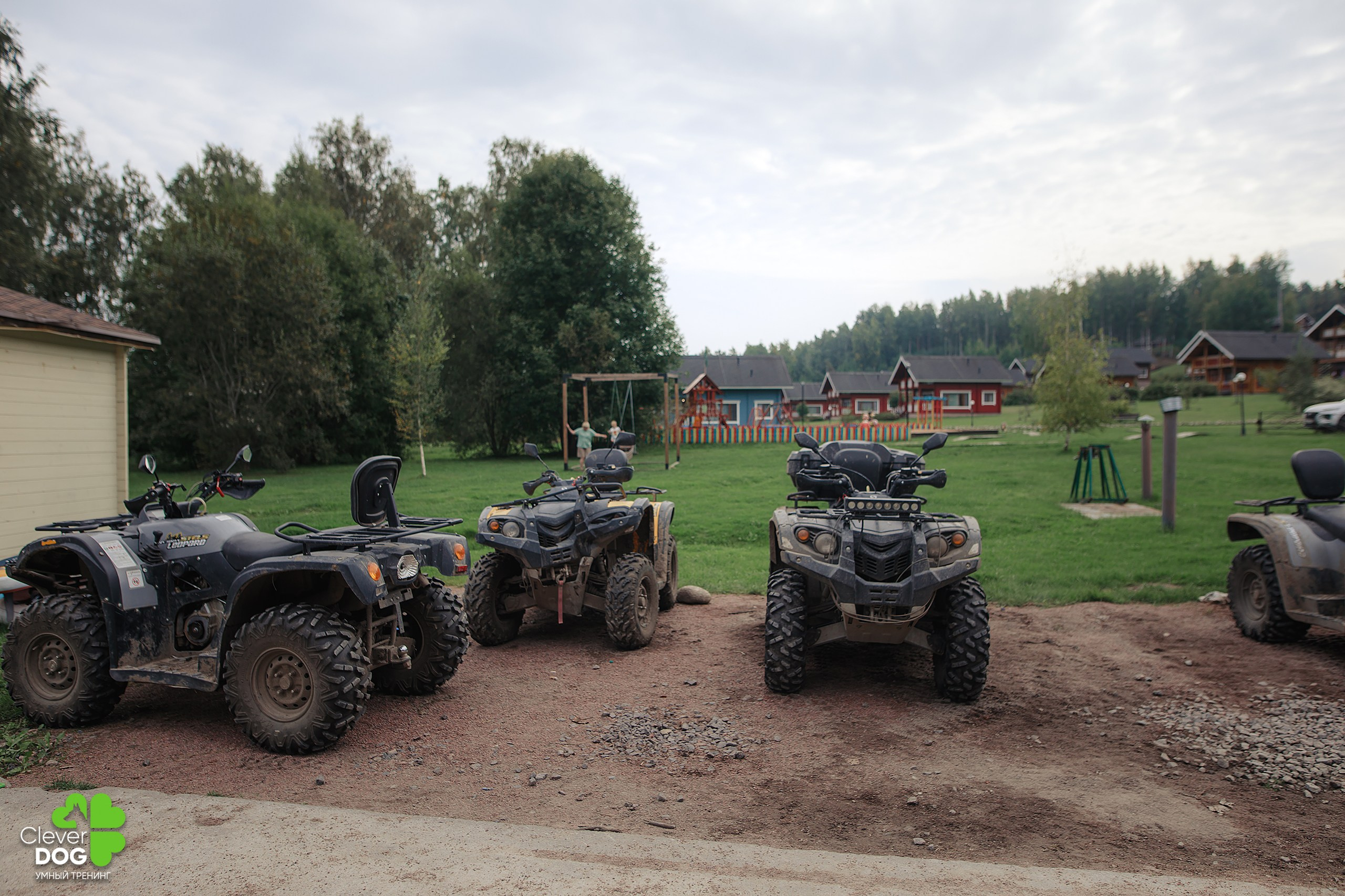 Кинологический лагерь CleverDog, 2024. Фотограф-анималист Mary Mart — Москва, Питер
