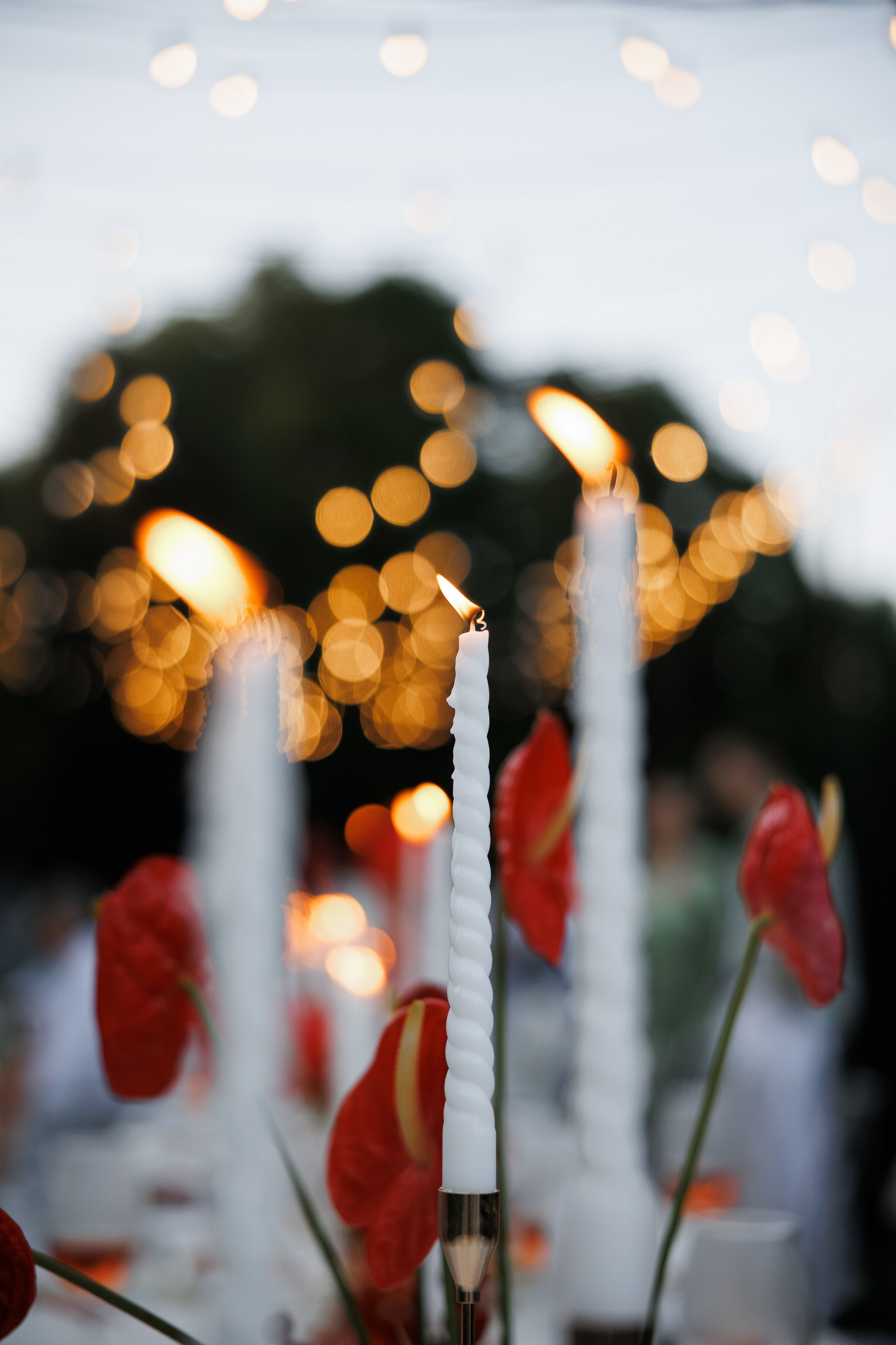 Никита + Настя. Свадебный фотограф в Смоленске Витя Лысенков