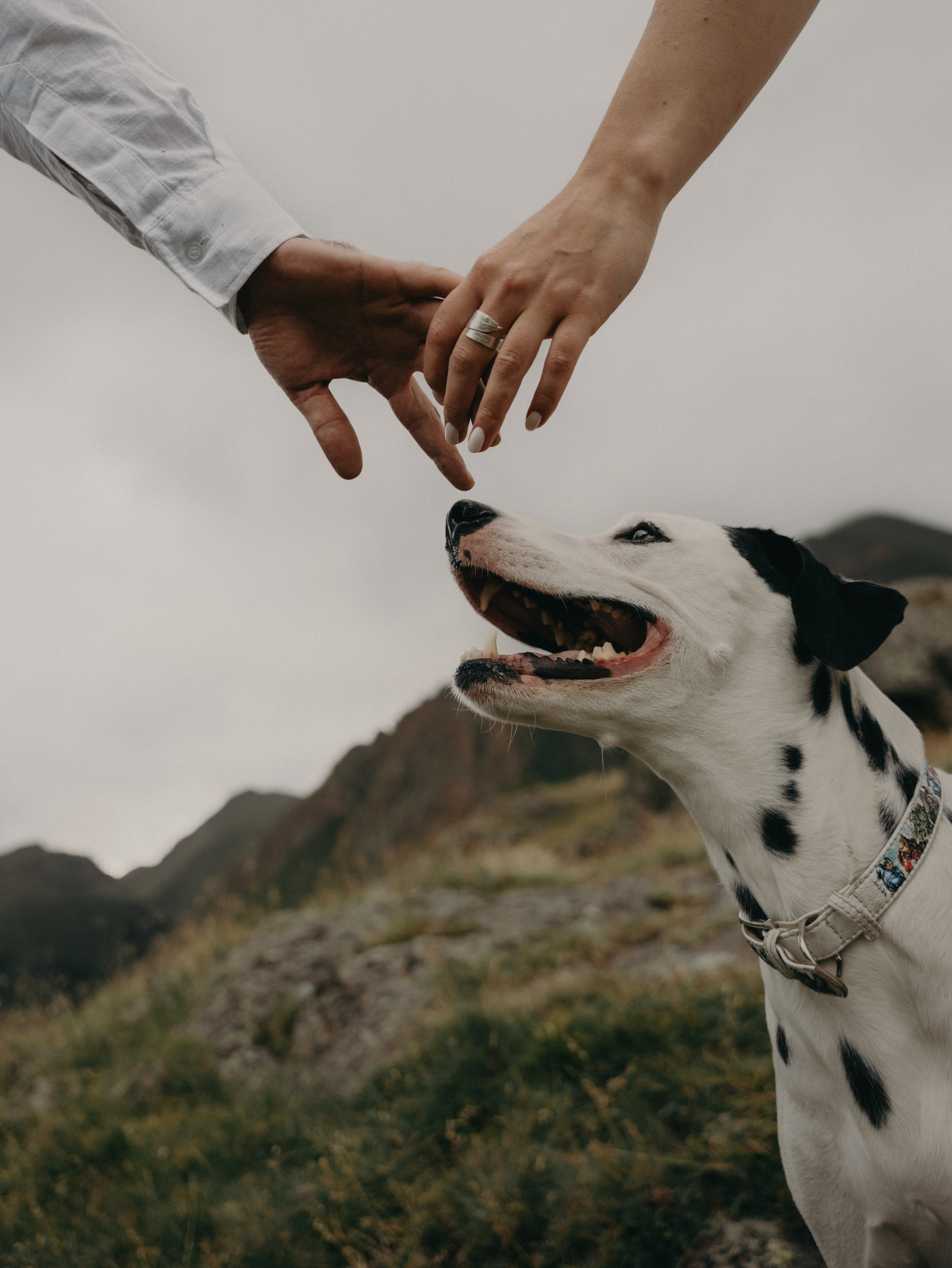 А&А. Свадебный фотограф Ирина Беляева Пятигорск|Кисловодск|Эльбрус|Домбай
