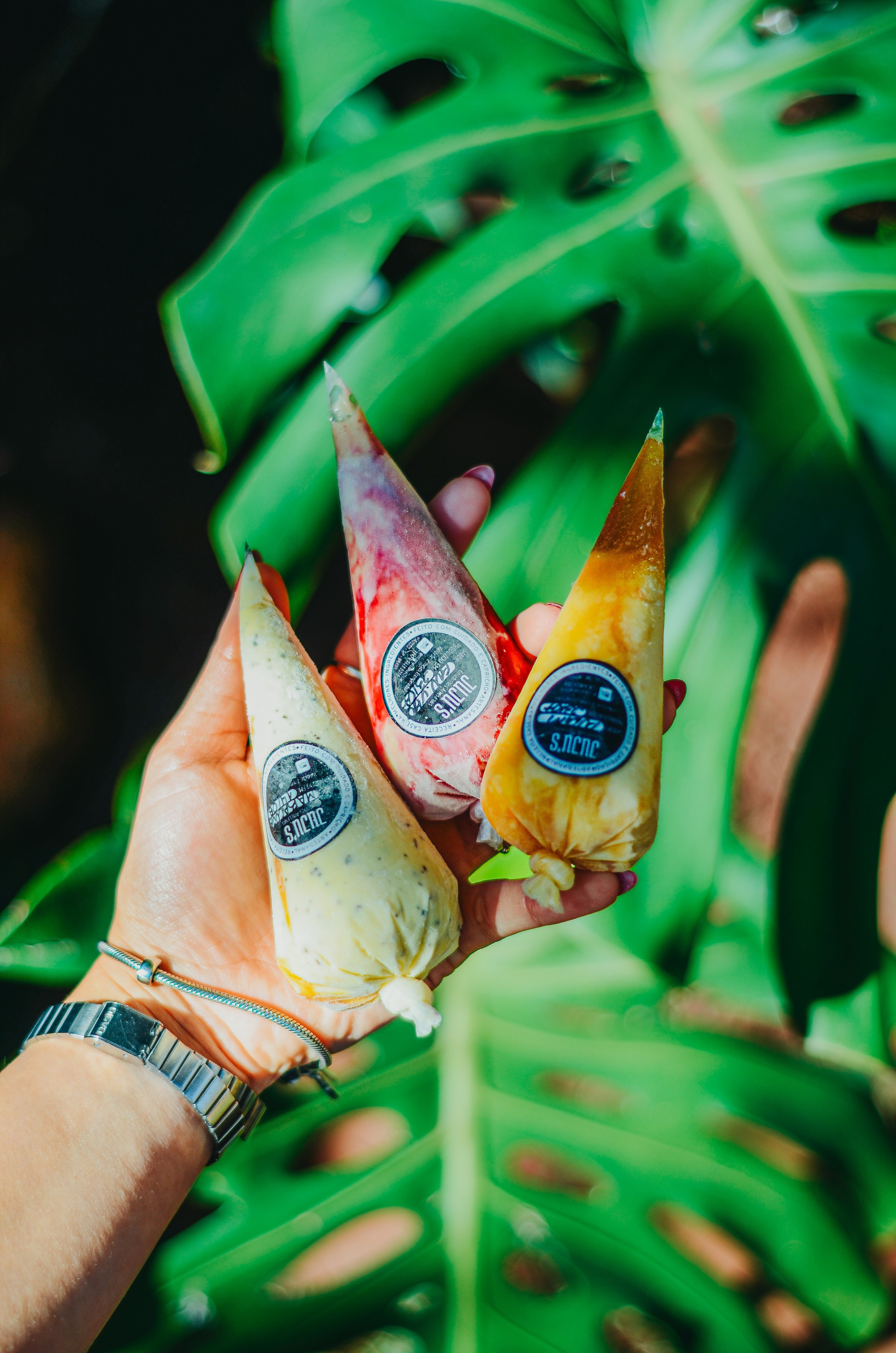 NOZ MYRCIARIA. Fotógrafo | Sessão de fotos