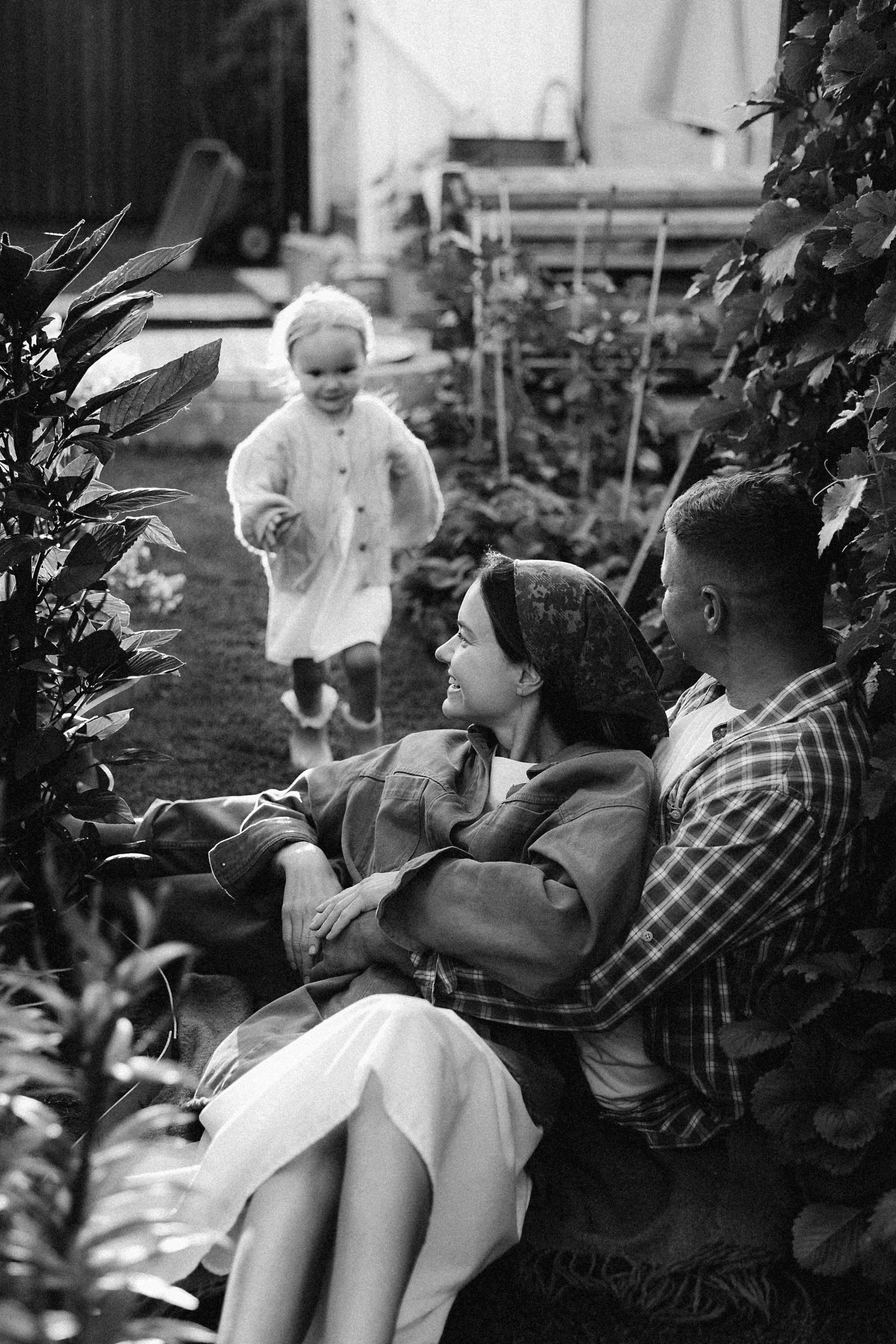 Дачная история. Главная