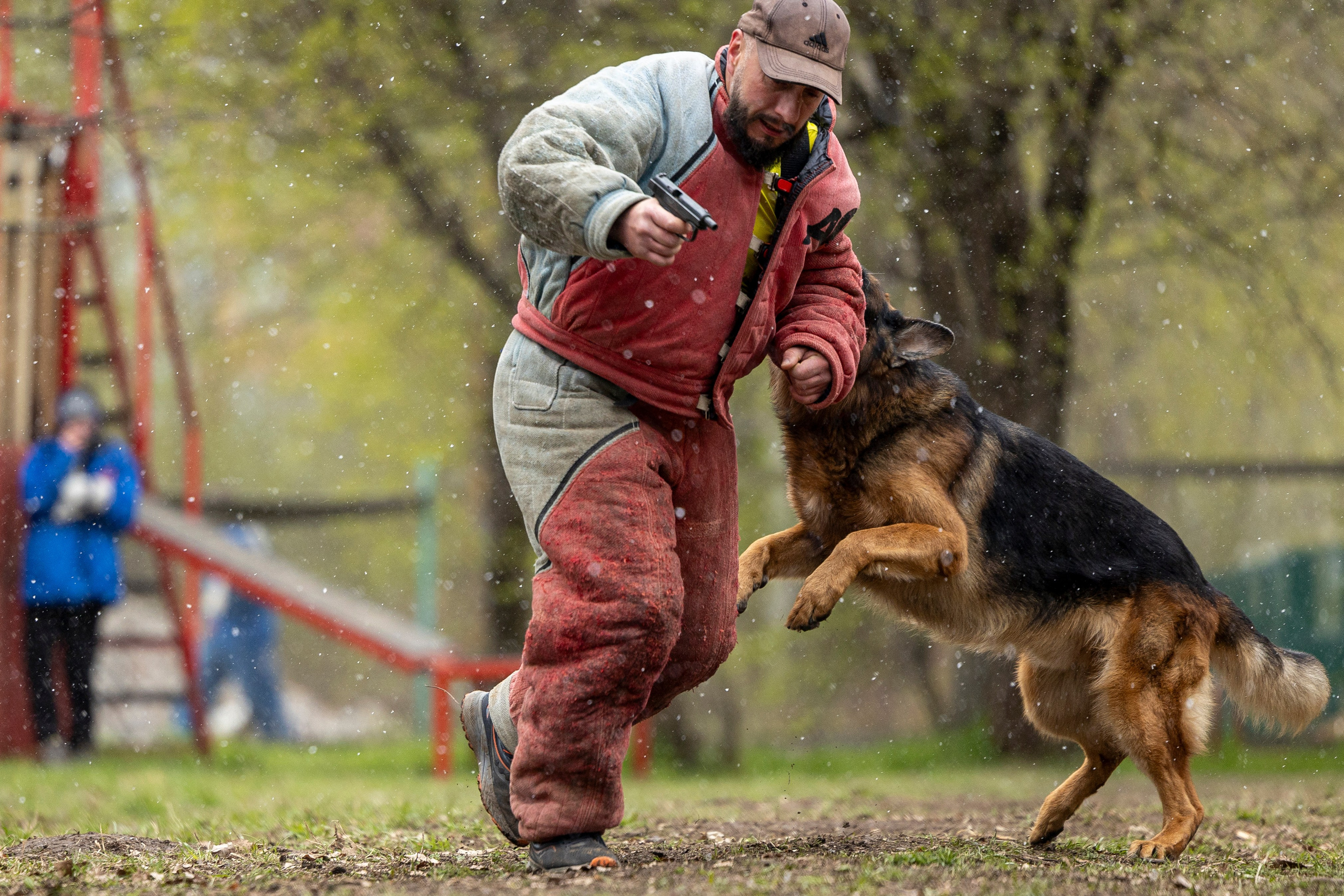 Квалификационные состязания по мондьорингу г. Вологда 11.05.24. Фотограф-анималист Анна Маринич