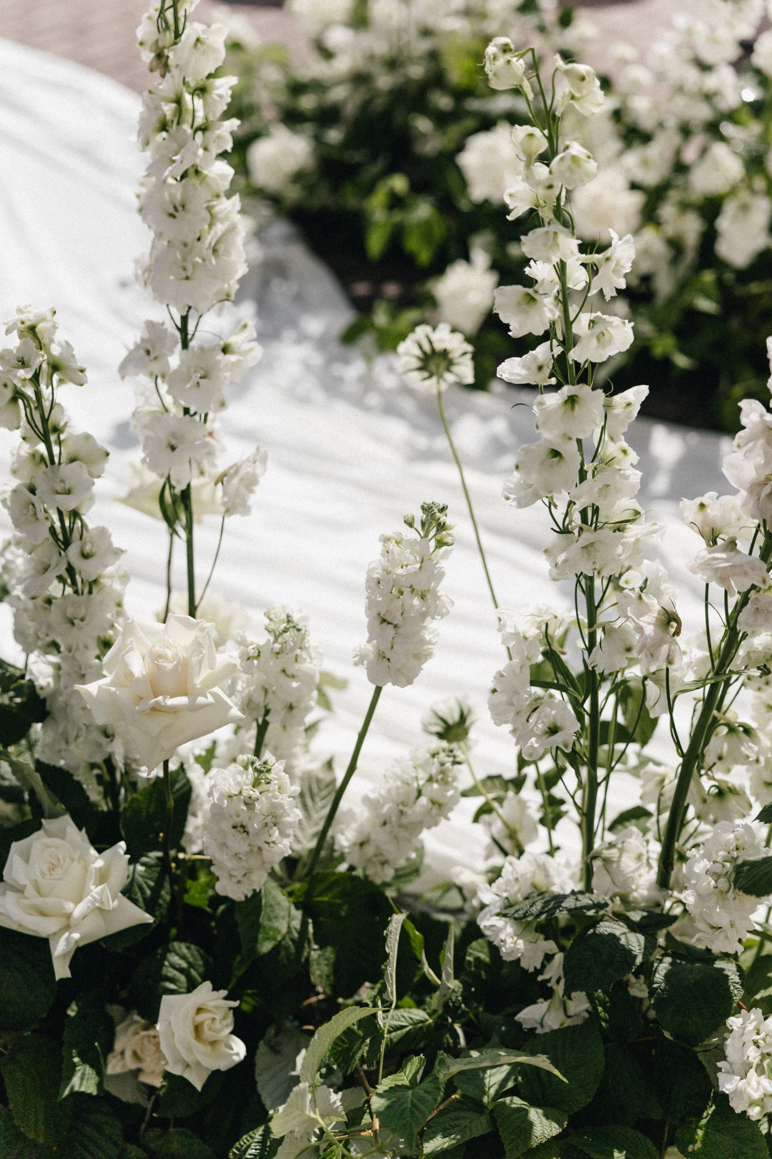 Тимур и Даша СПб. Свадебный и семейный фотограф и видеограф, Крым, Москва, Санкт -Петербург