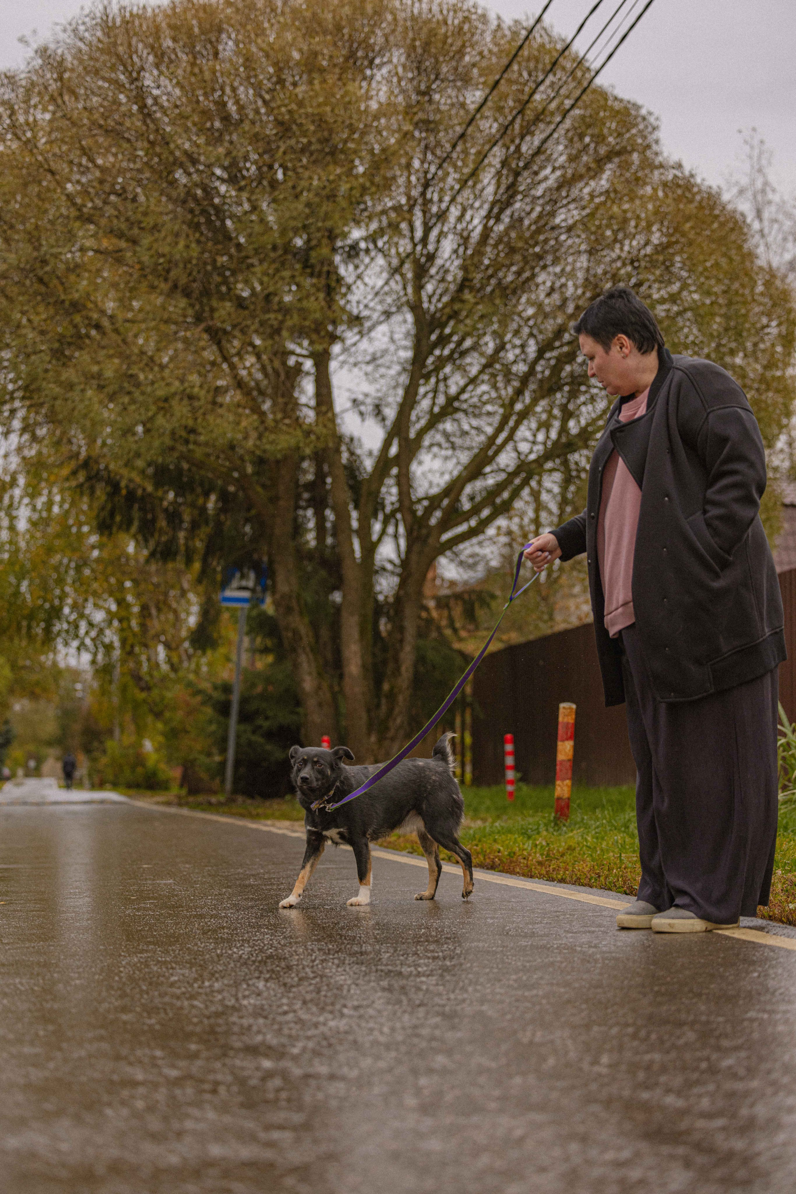 Передержка. Фотограф-анималист в Москве Лера Черноног