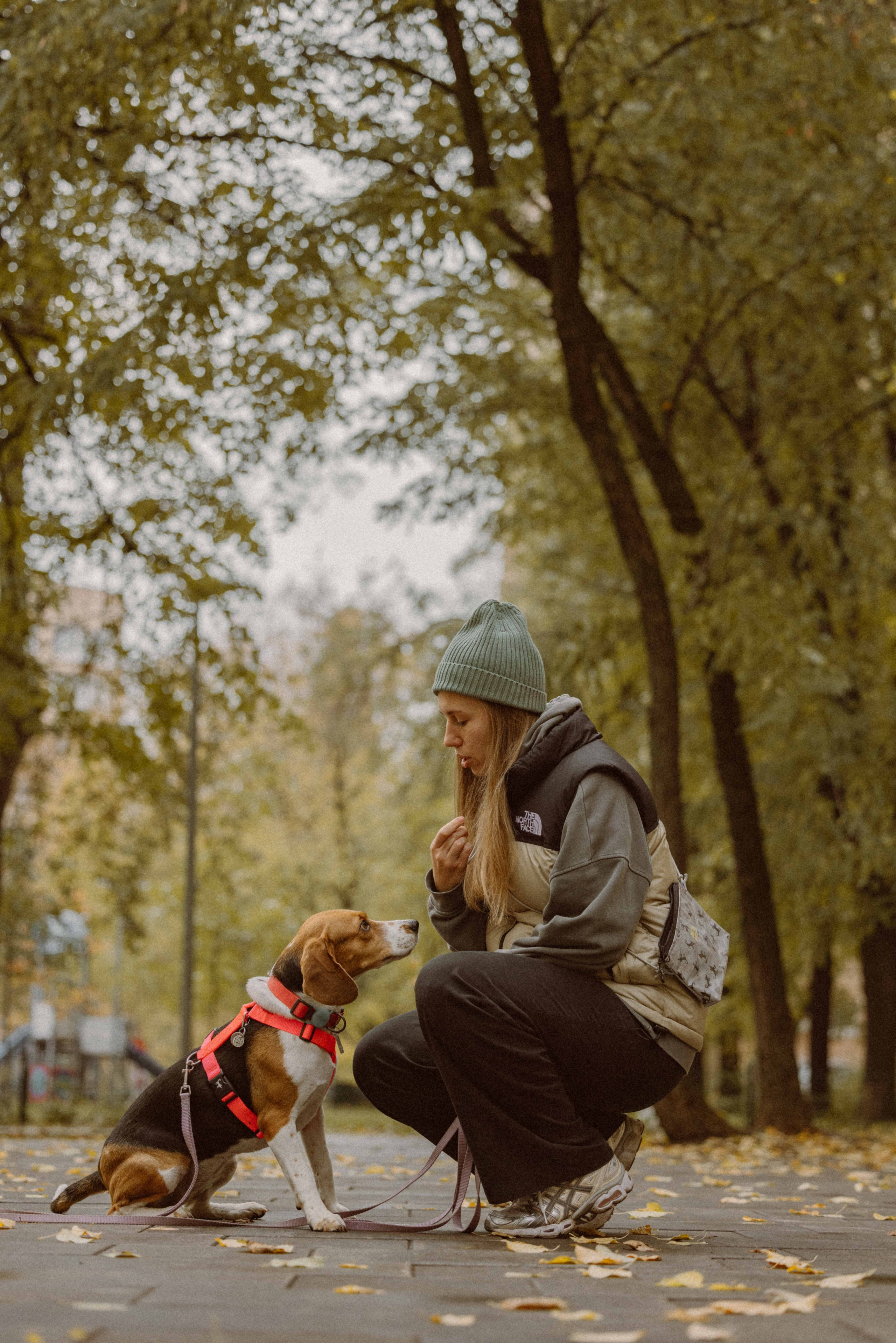 Света и Ива. Фотограф-анималист в Москве Лера Черноног