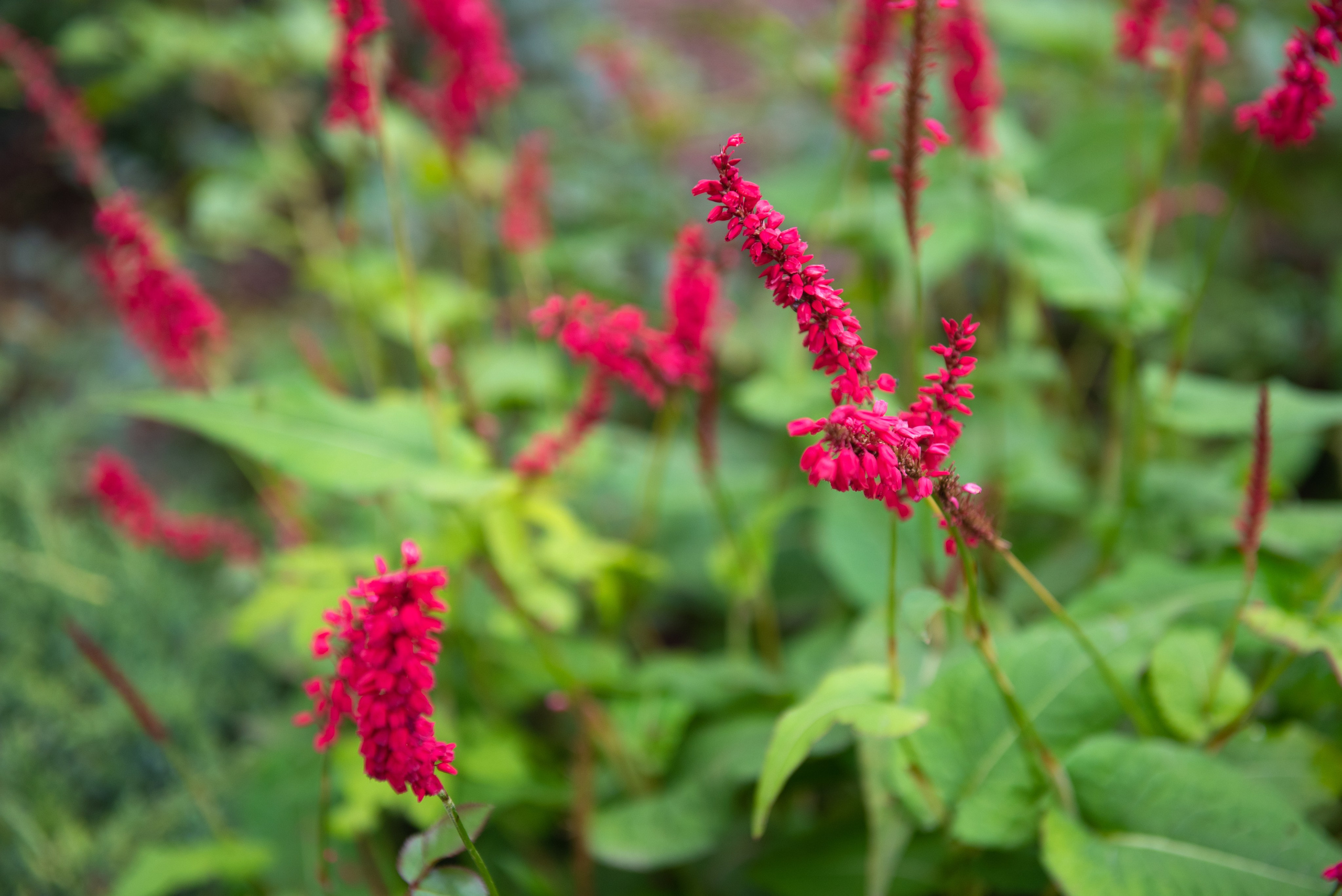 Печоры. Портретный и архитектурный фотограф в Москве и Санкт-Петербурге
