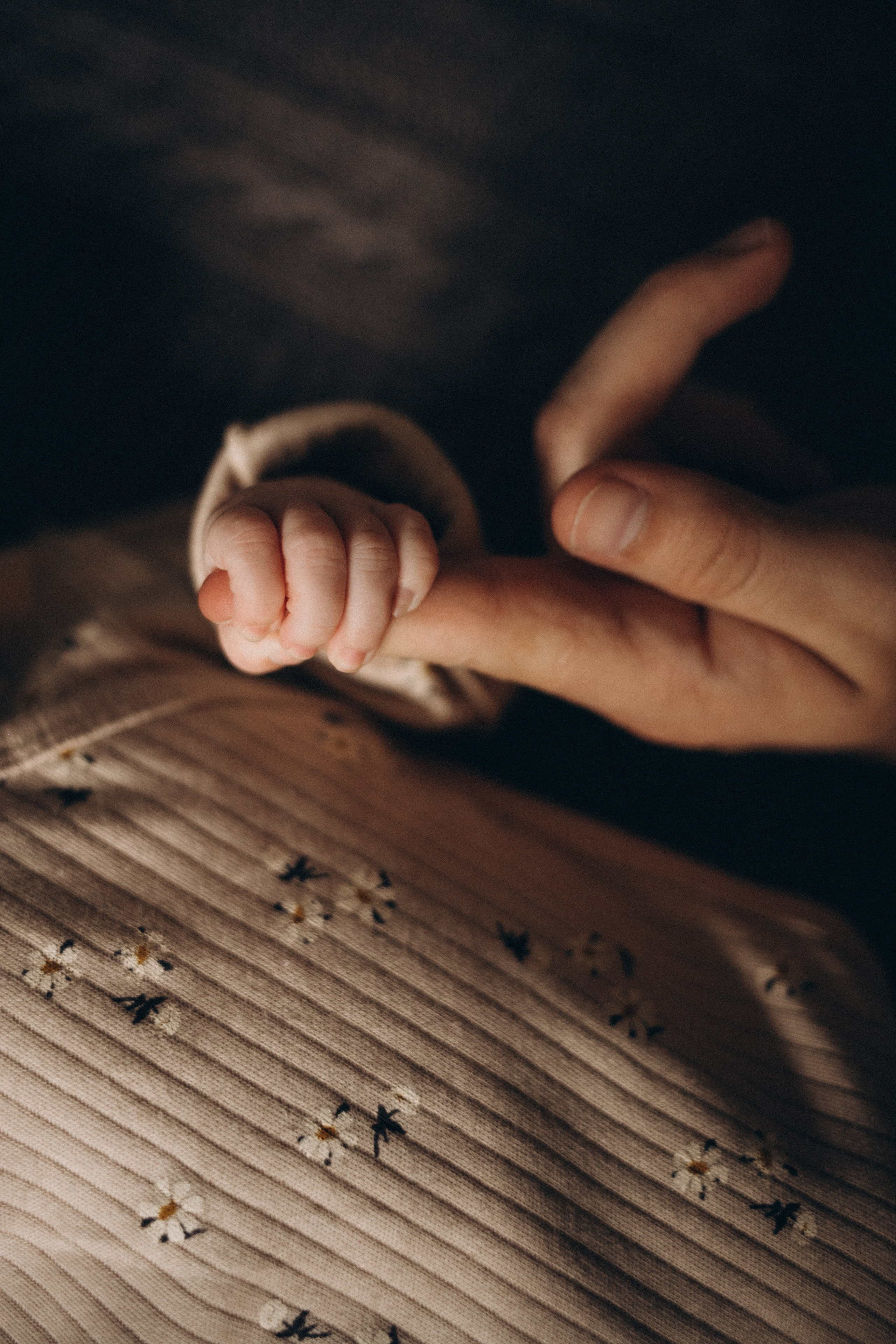 Валера, Катя и София. Семейный и свадебный фотограф Анна Кожокарь