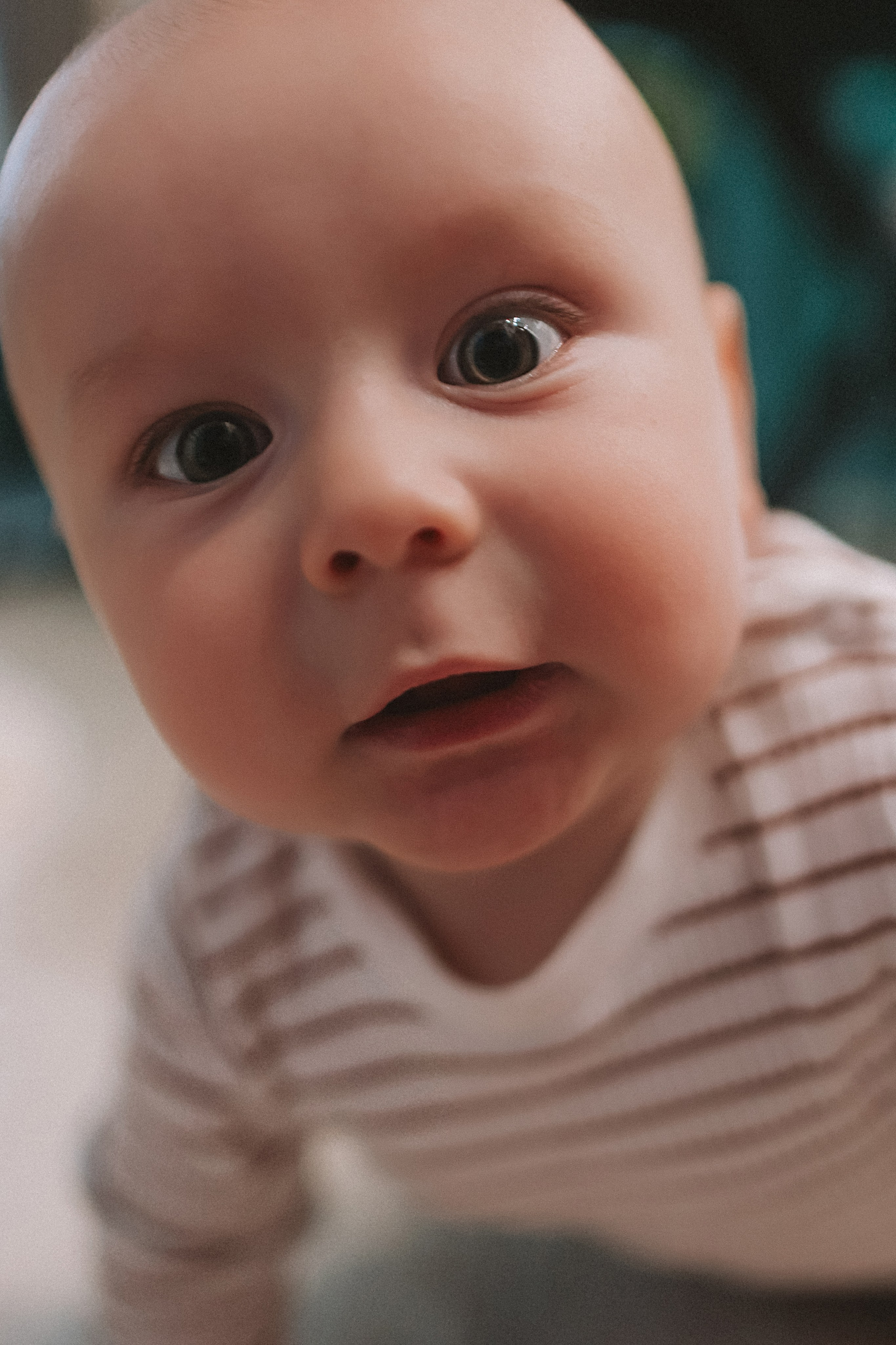 Мише 8 месяцев. Семейный фотограф Тюмень, фотограф на роды Салмина Мария