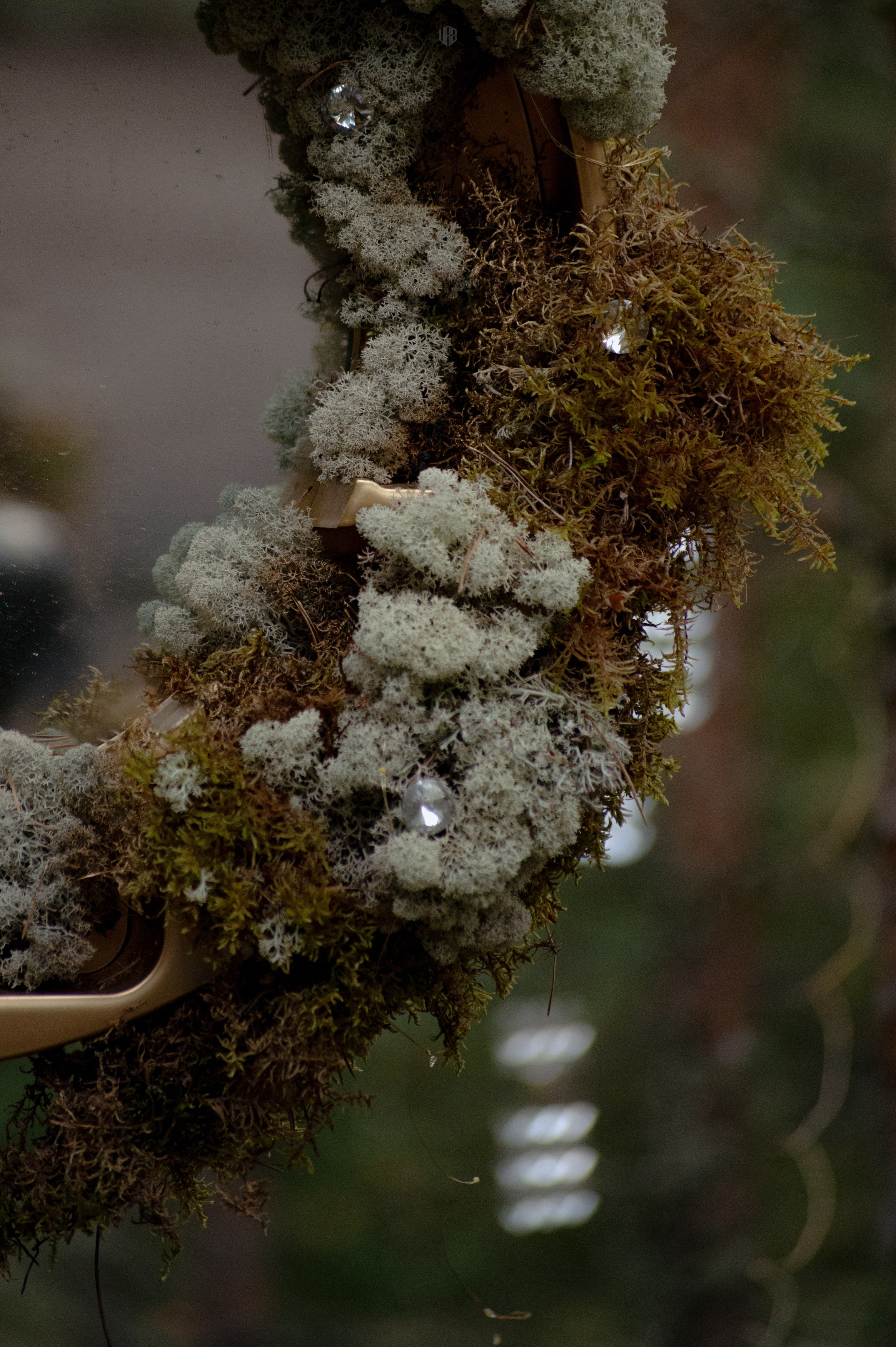 METADREAMS 2024. Контент фотограф Илья Урс