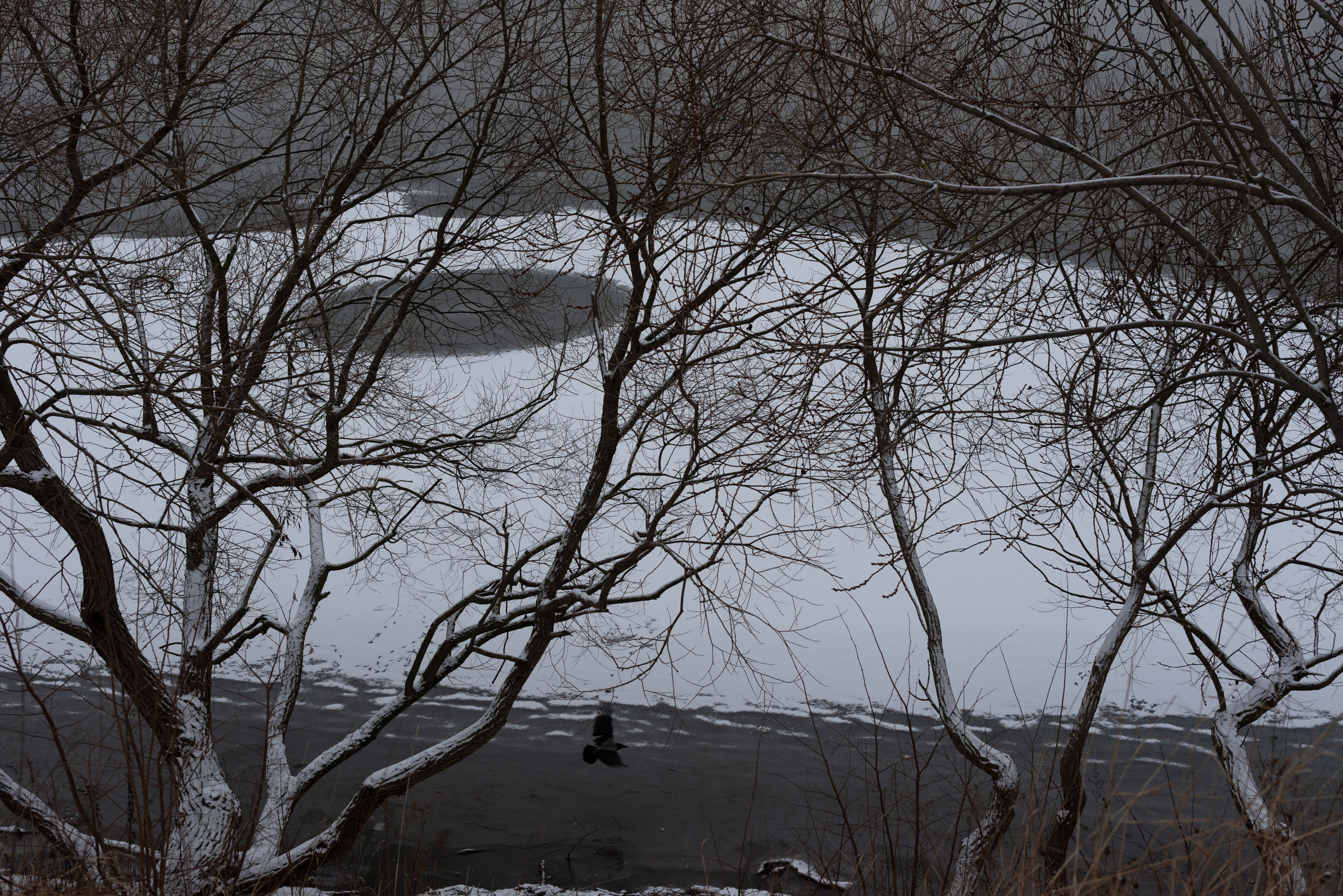 Контакты. Фотограф Крещения и Венчания. Минск и другие города. Почтенная Наташа