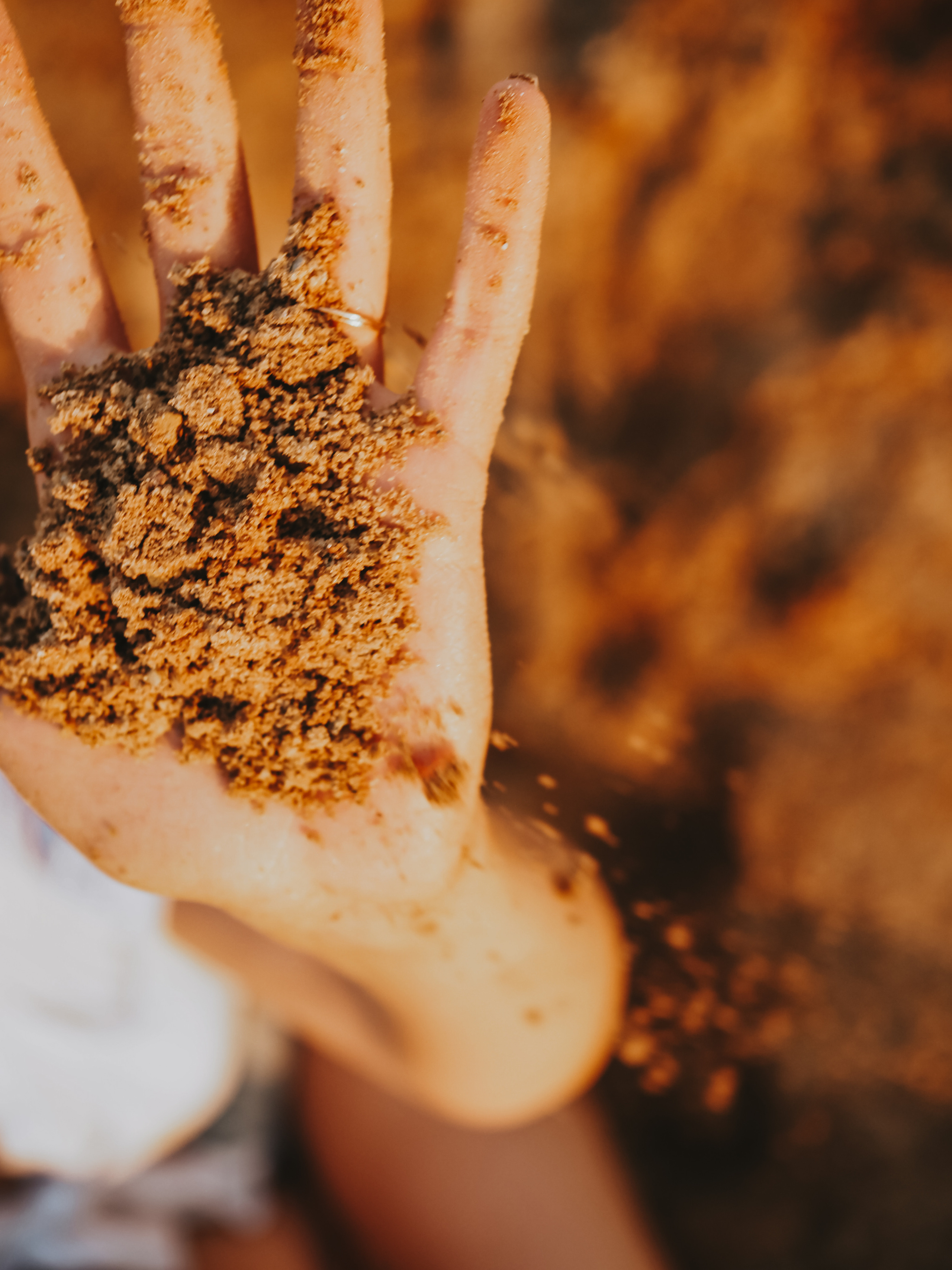 Вика. Фотограф Смоленск Дина Петровская